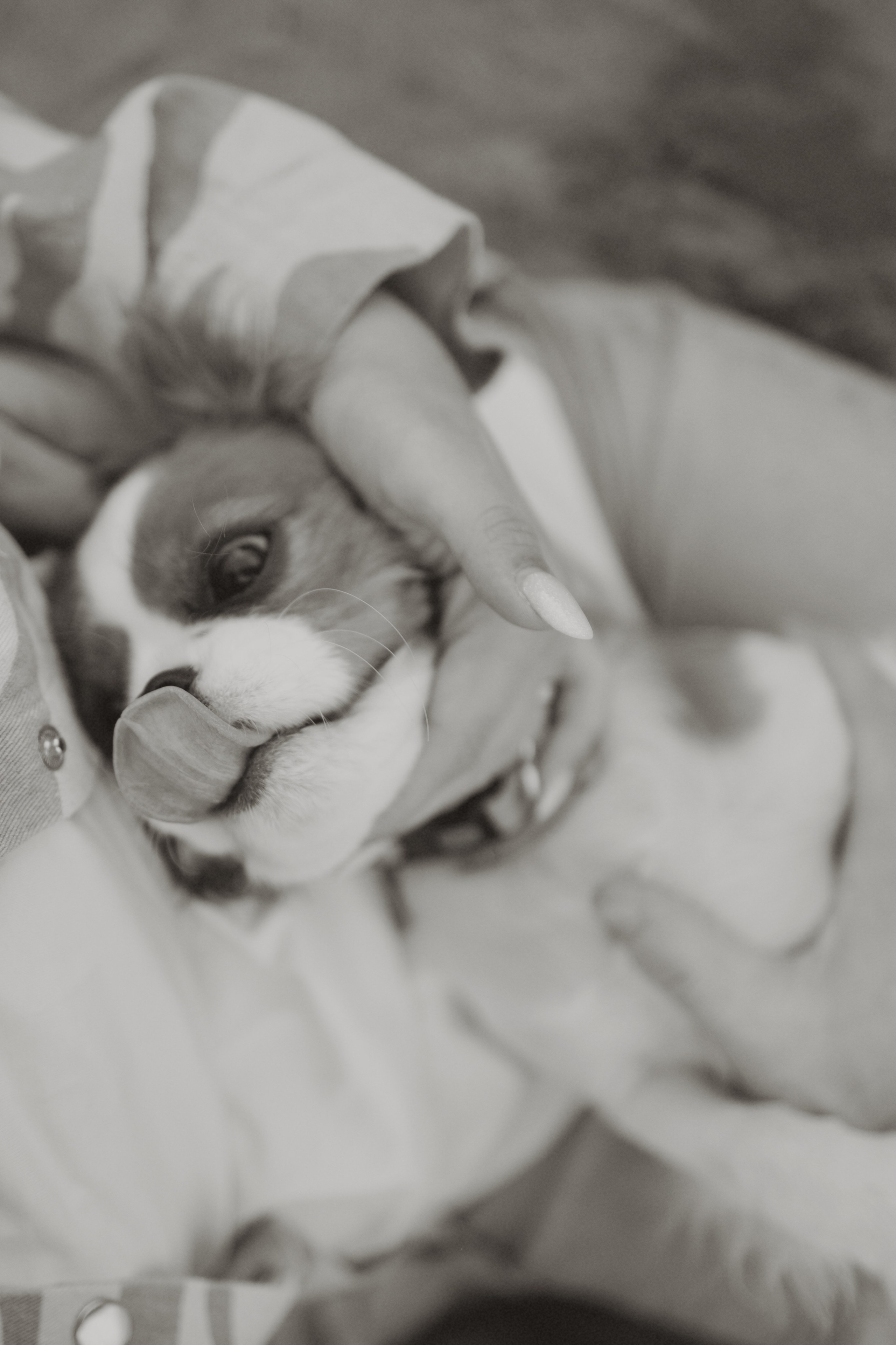 Ваня, Таня и малыш Кимми. Семейный фотограф Надежда Каримова | Иркутск Байкал Аршан