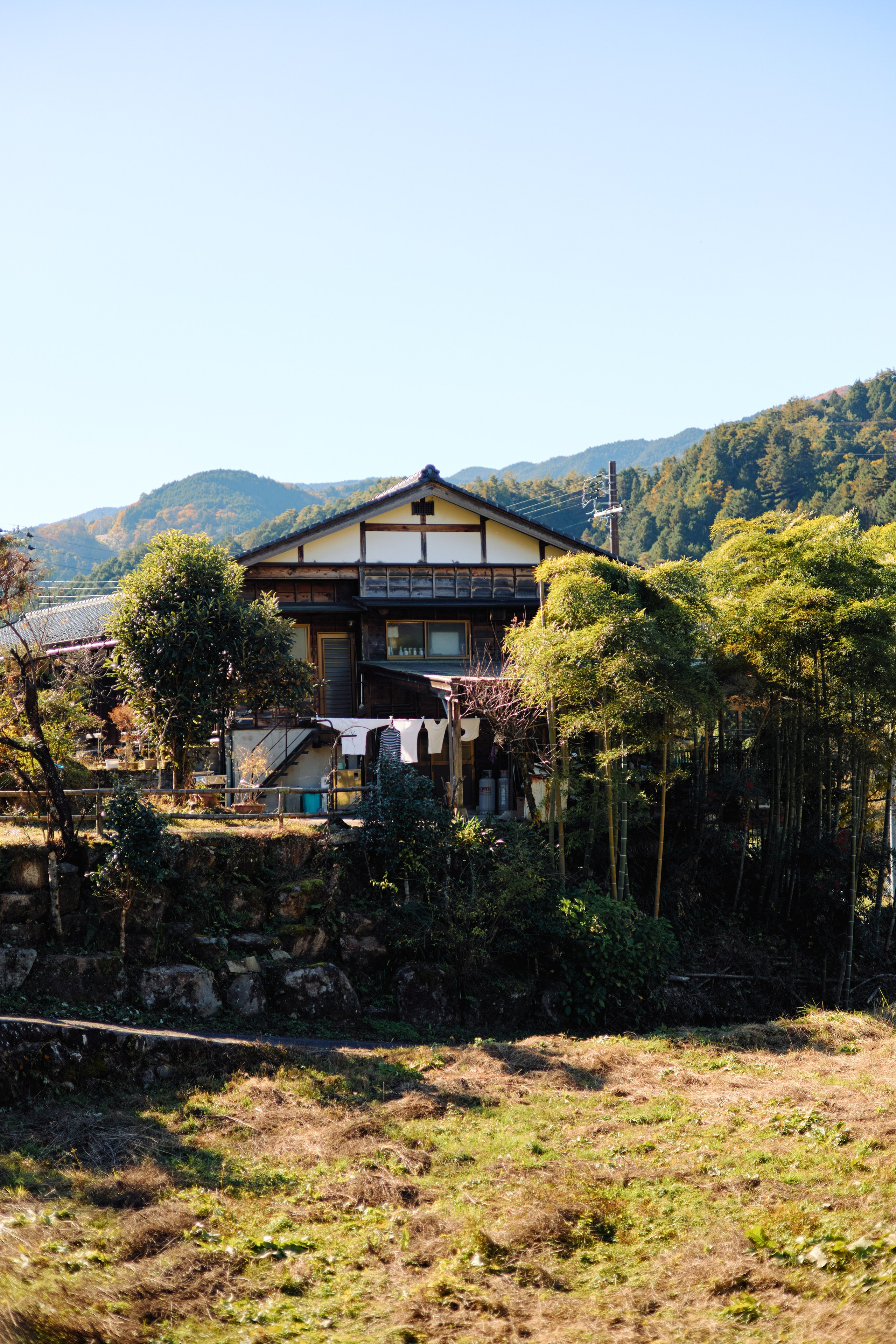 Япония. Профессиональный Фотограф во Владимире, в Москве и в Суздале — Полина Романычева