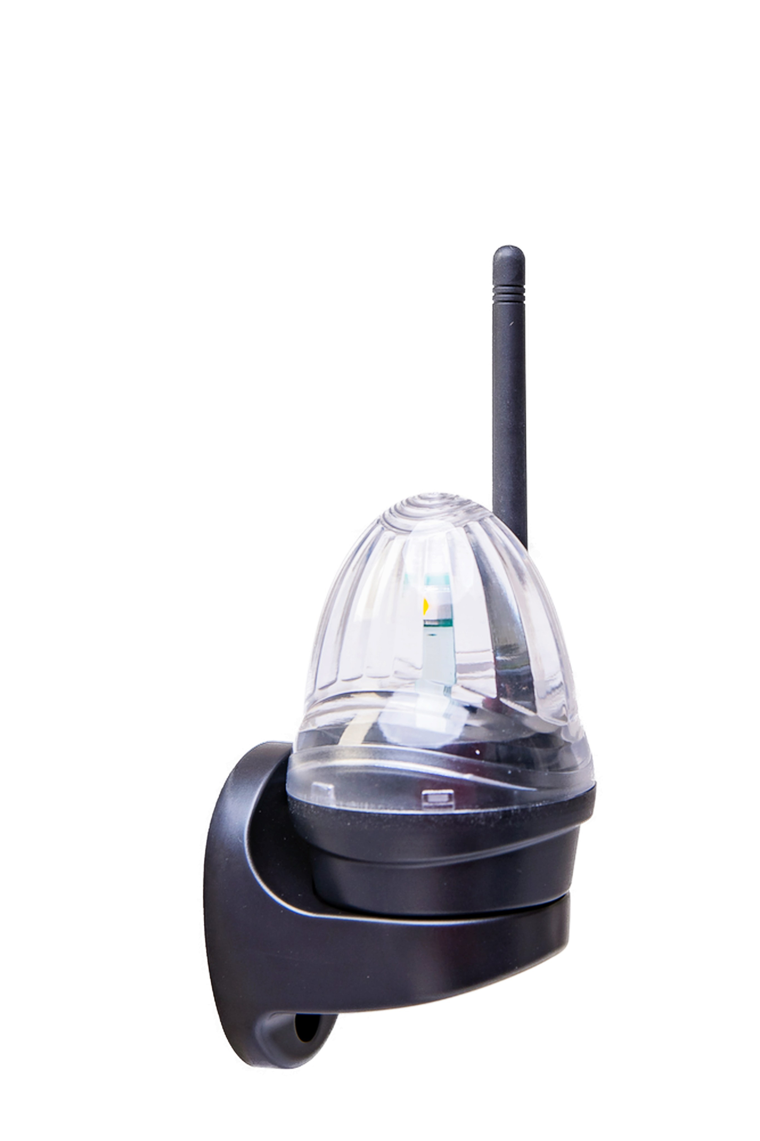 Лапмы. Профессиональная фотостудия в Санкт-Петербурге «Точка»