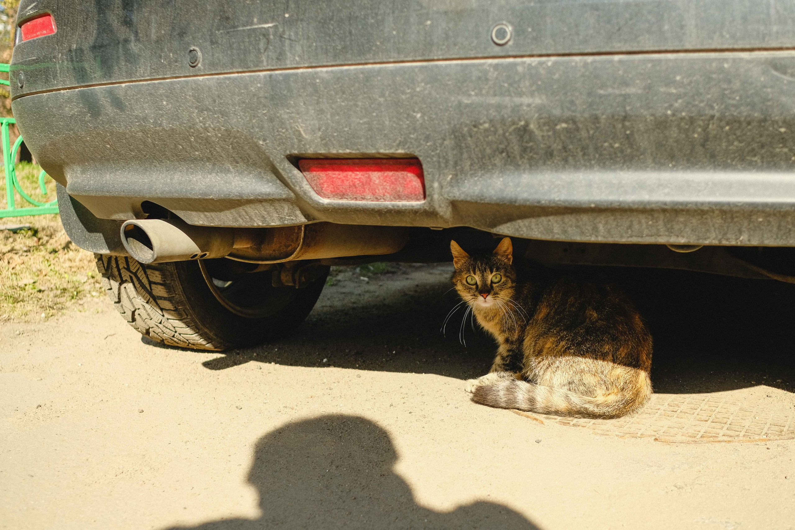 2022.04. Фотограф Алексей Алексеев