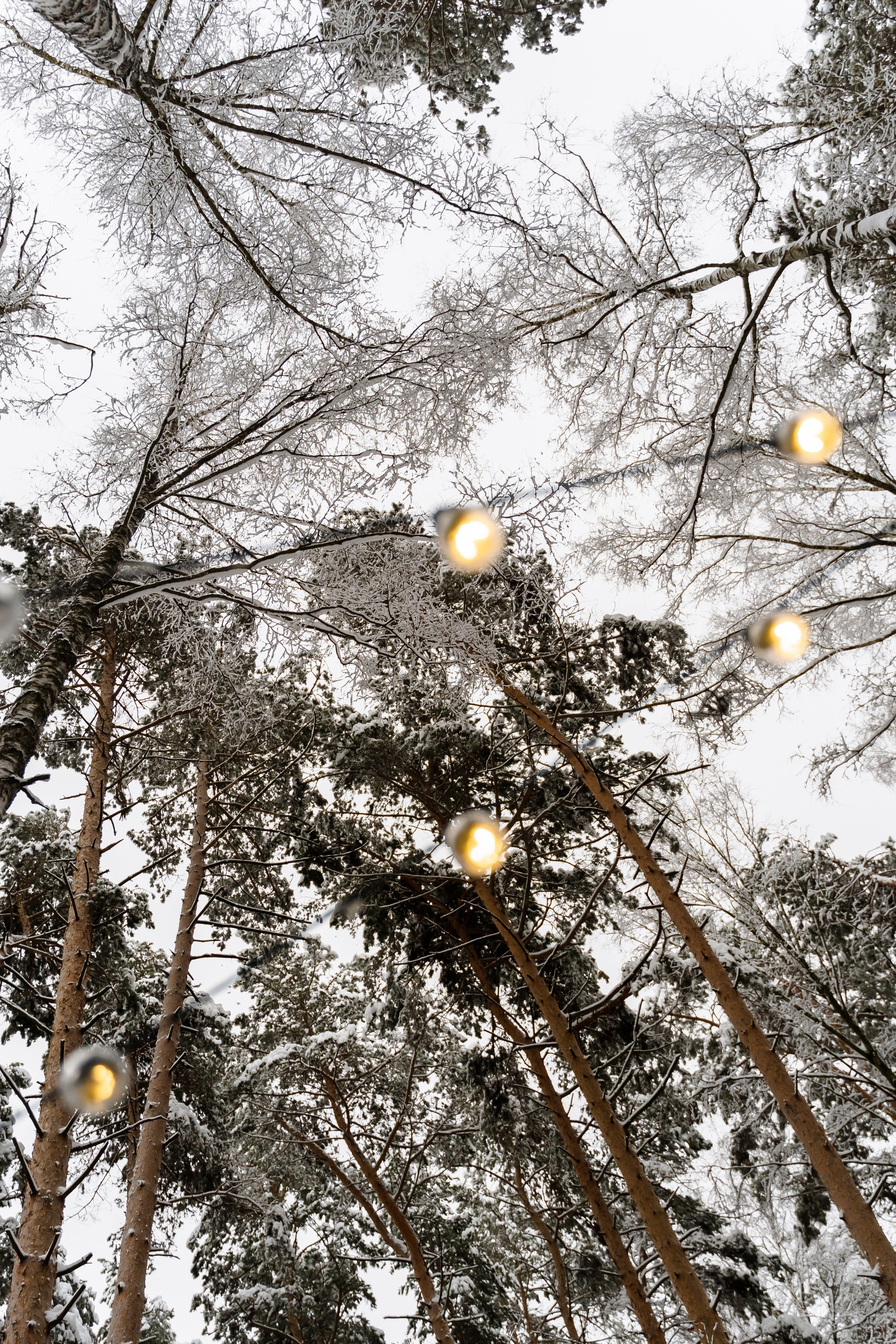 Варя и Влад. Свадебный фотограф в Москве Яна Деньгина