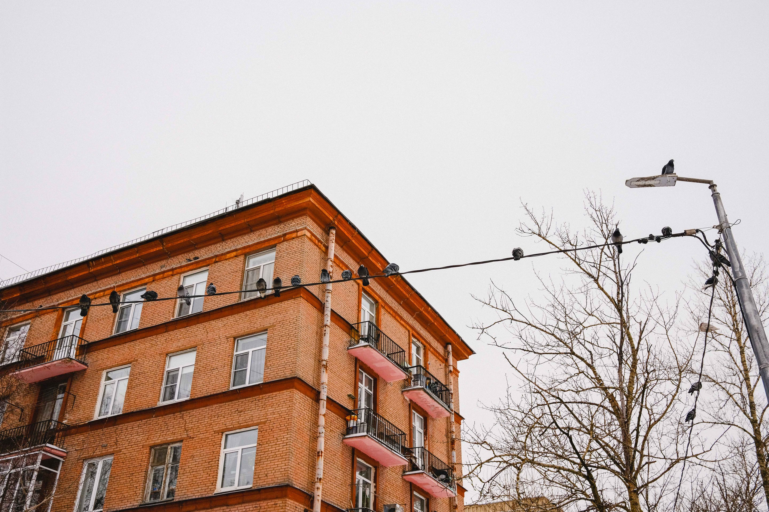 2023.02. Фотограф Алексей Алексеев