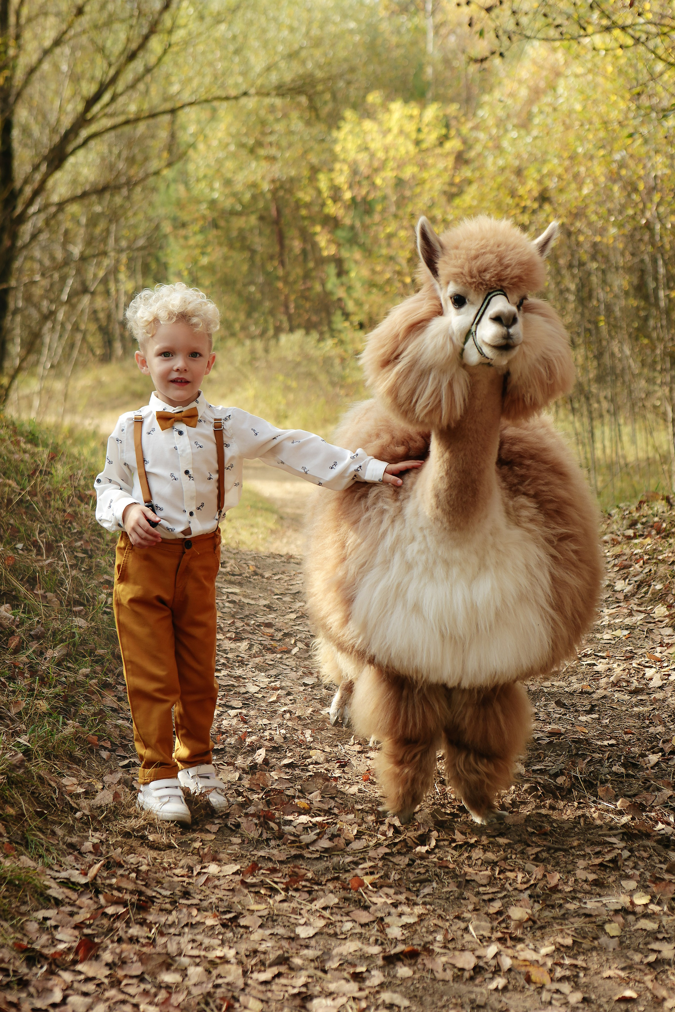 Альпаки. Семейный и детский фотограф в Москве Александра Мак
