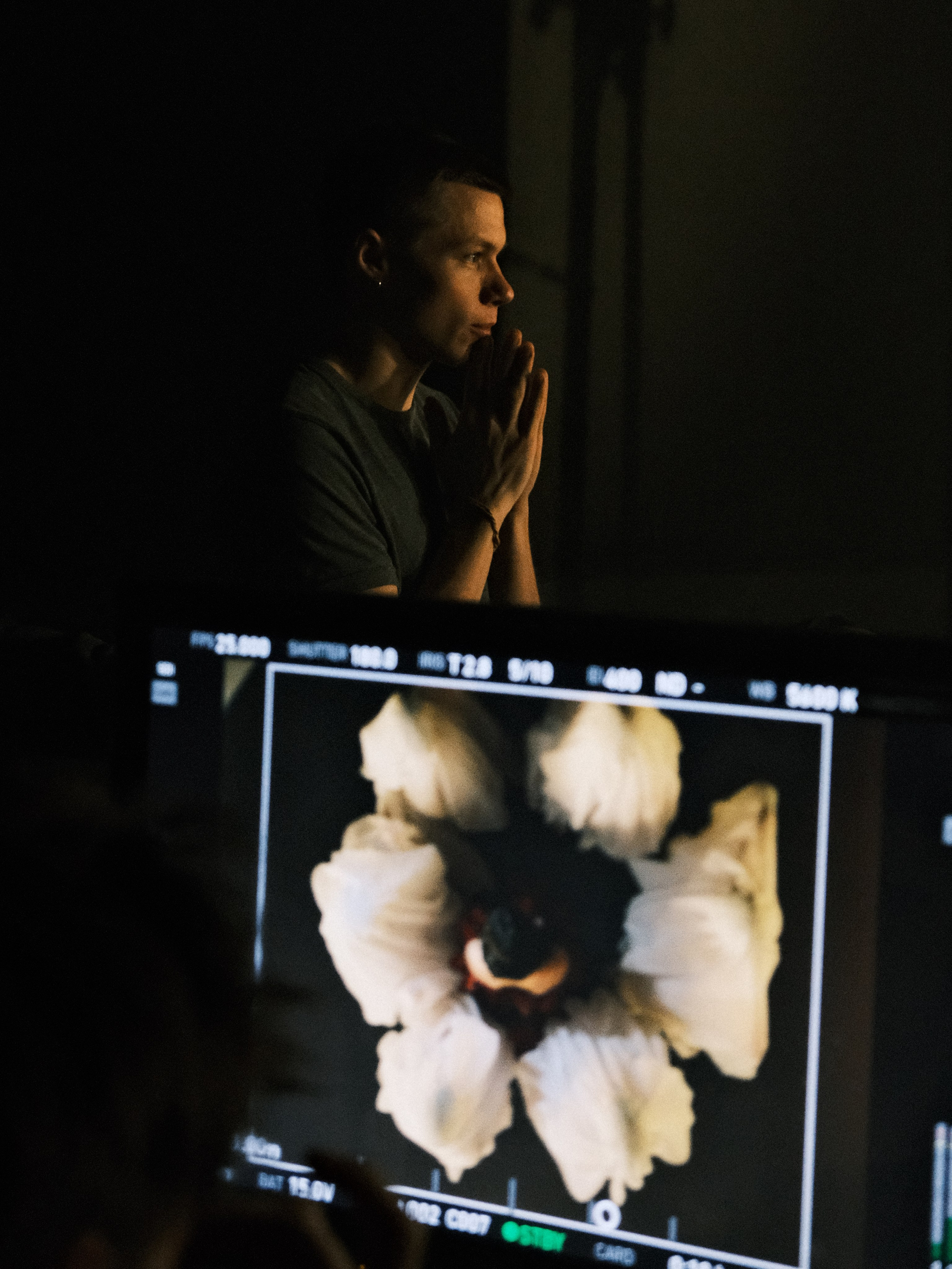 Green Apelsin. Photographer Mary Sergo