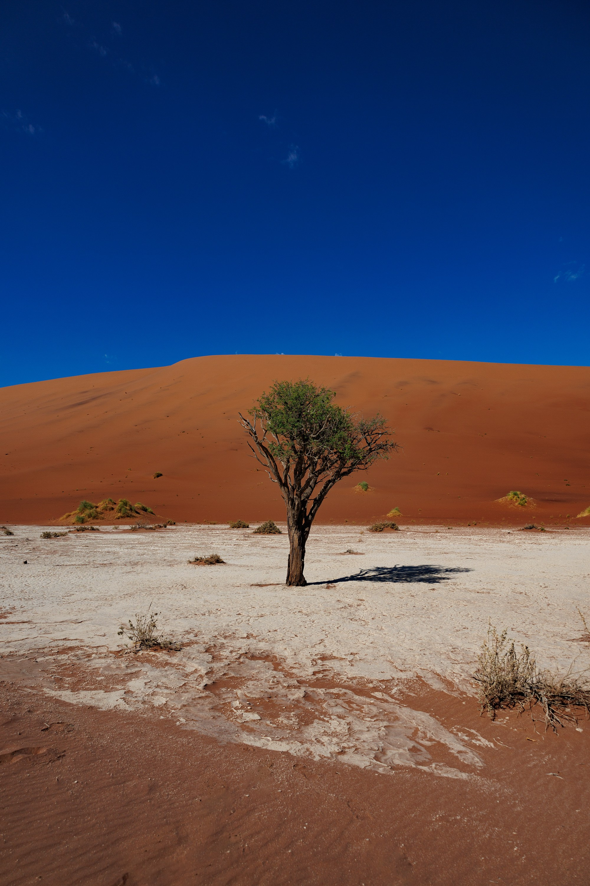 НАМИБИЯ. Роадтрип