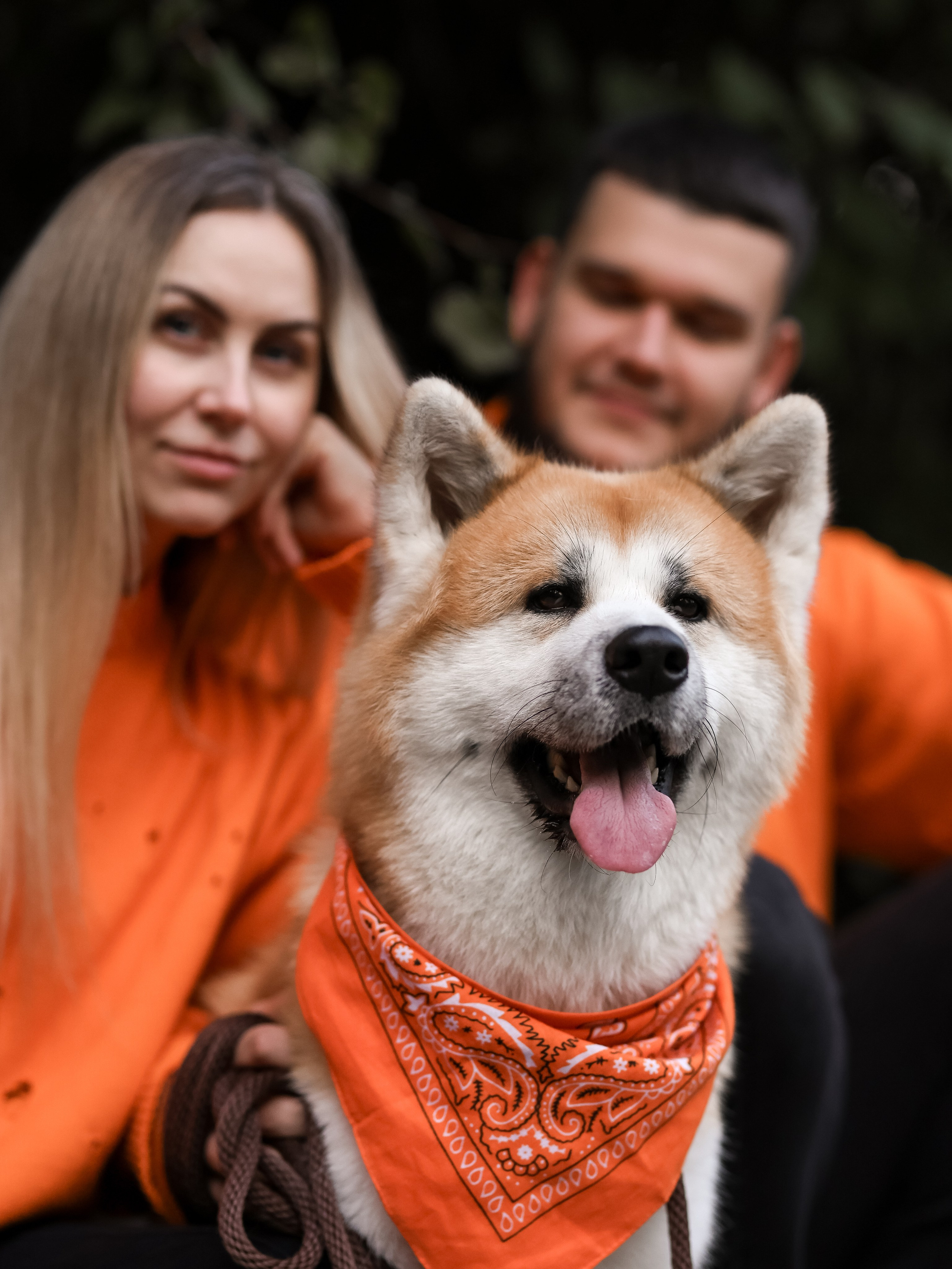 Гранд, Вика и Степан. Фотограф-анималист в Москве Кириллова Татьяна