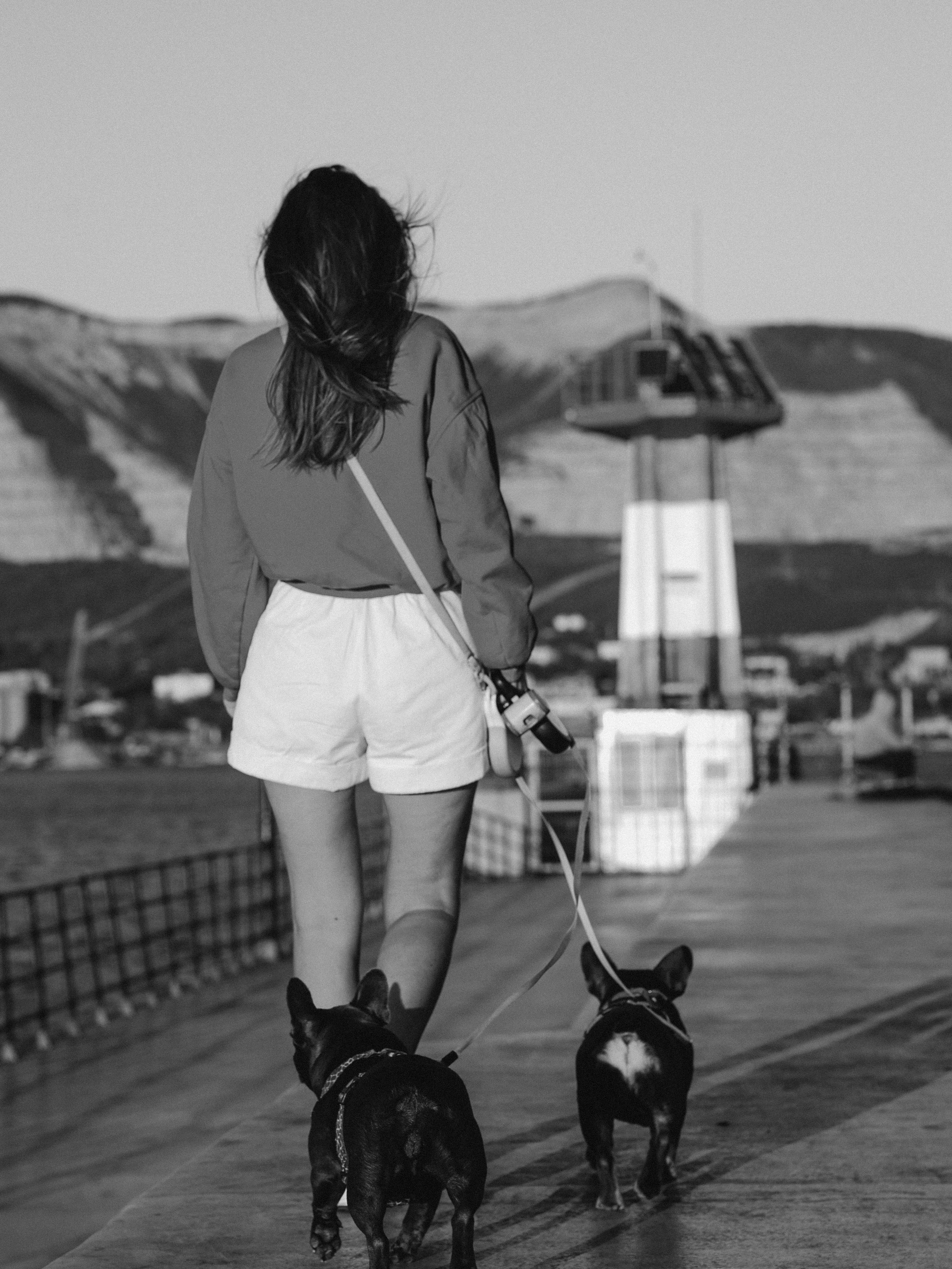 Белла, Луна и Нелли. Фотограф-анималист в Москве Кириллова Татьяна