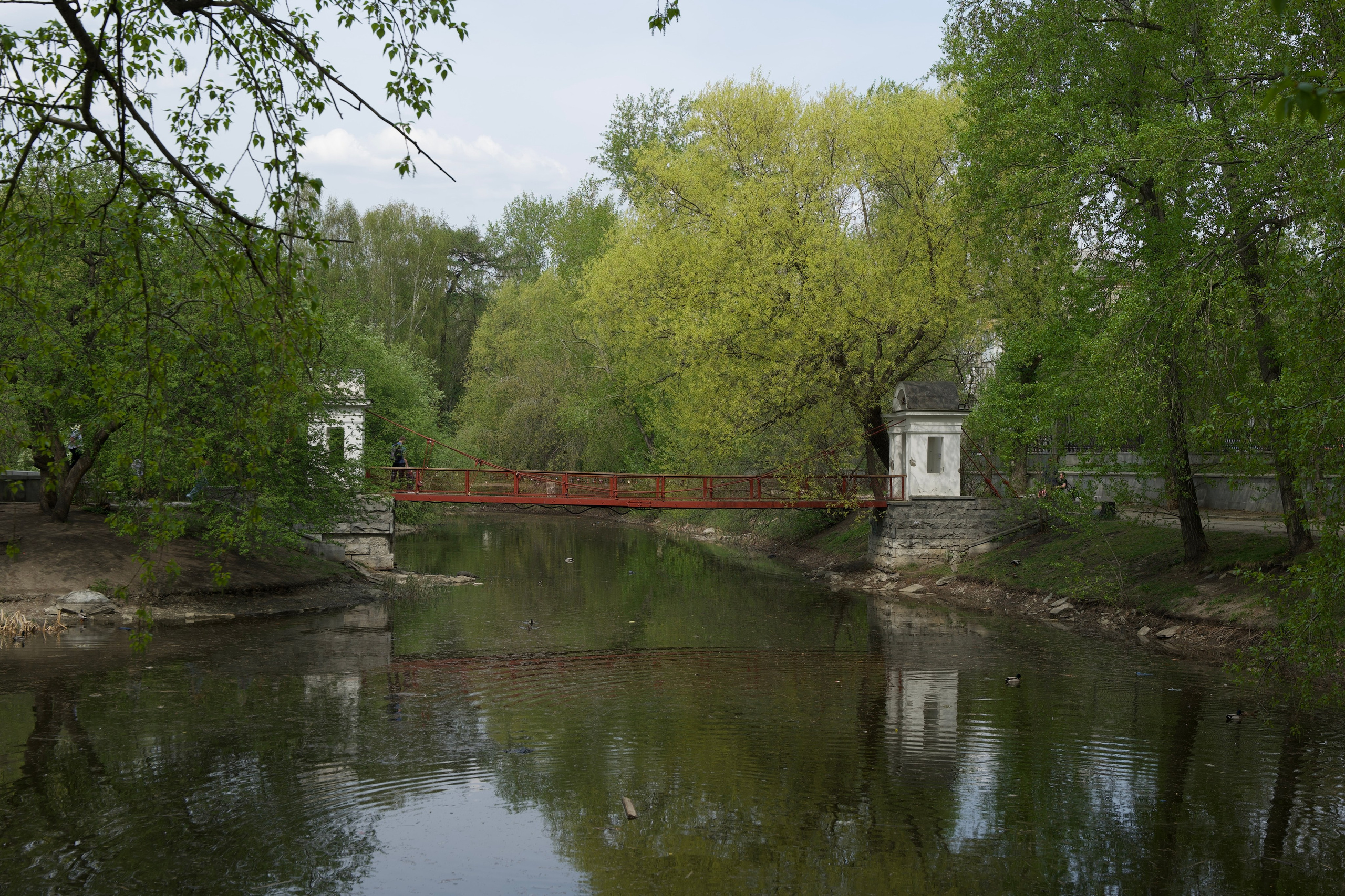 Мои фото. Владимир Власюк