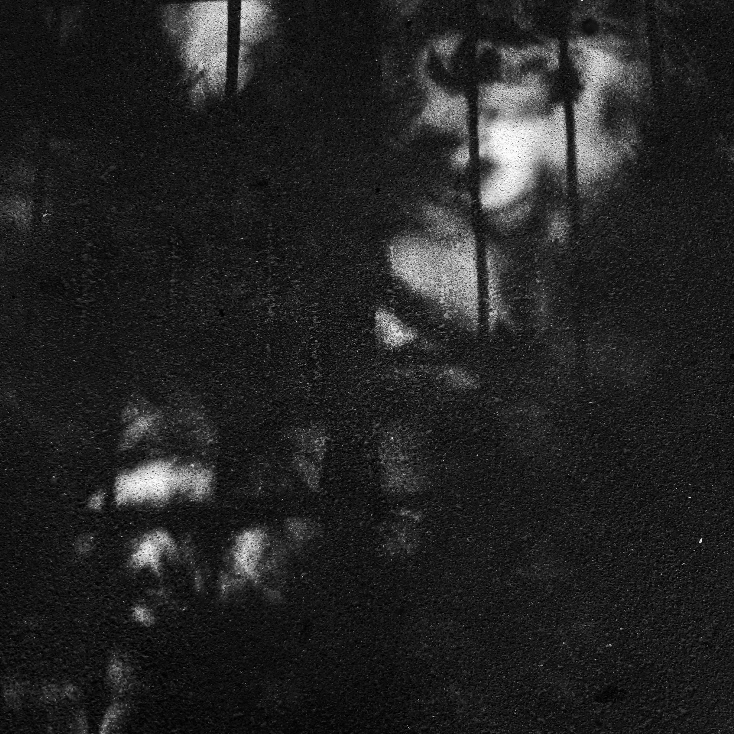 Bardo / Чёрно-белые сны. Роман Ходырев — художник, фотограф, музыкант, эзотериолог. Санкт-Петербург, Рига