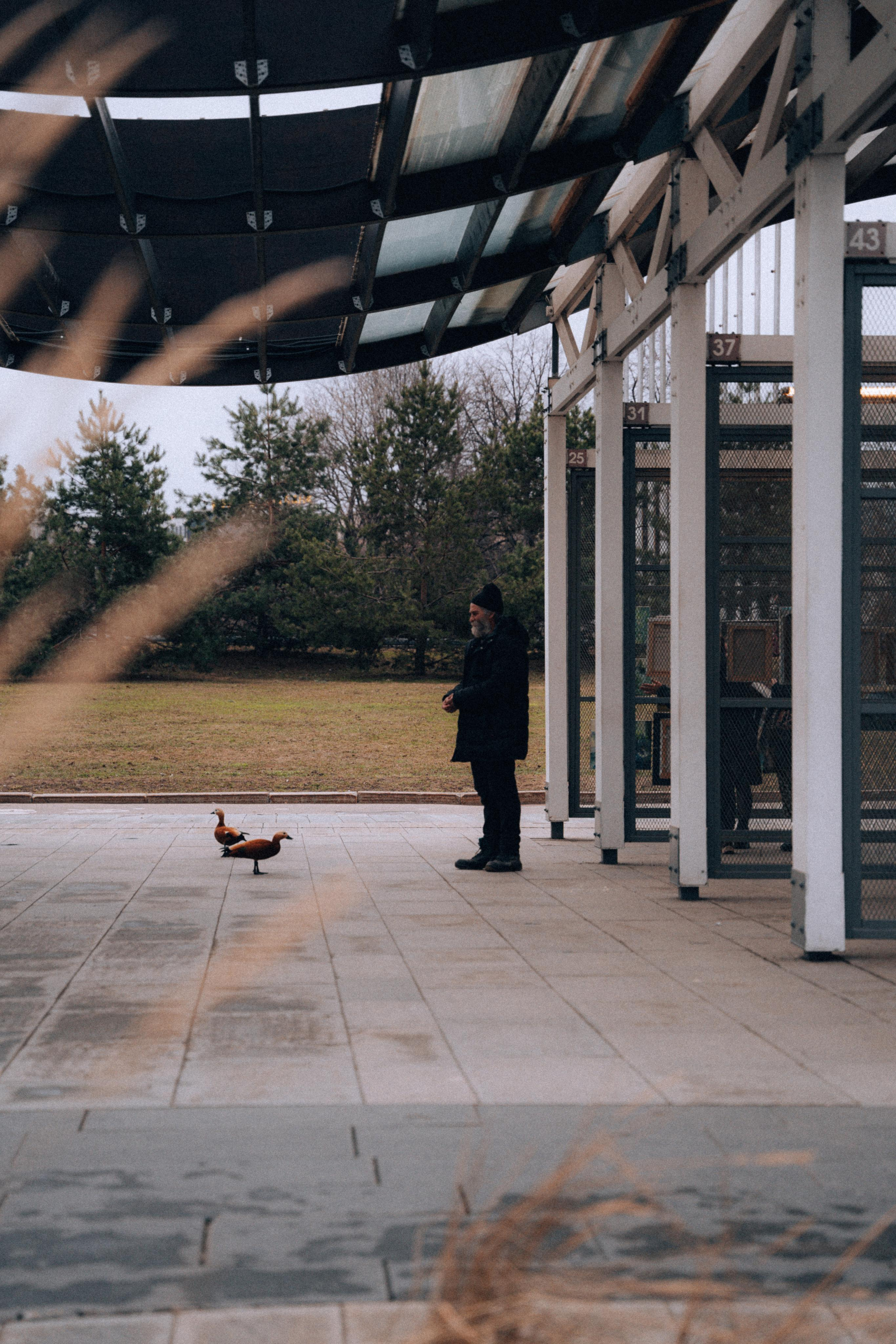 ГОРОДСКОЙ ПЕЙЗАЖ / CITYSCAPES. @oljiofilm: Олег Иванов — фотограф