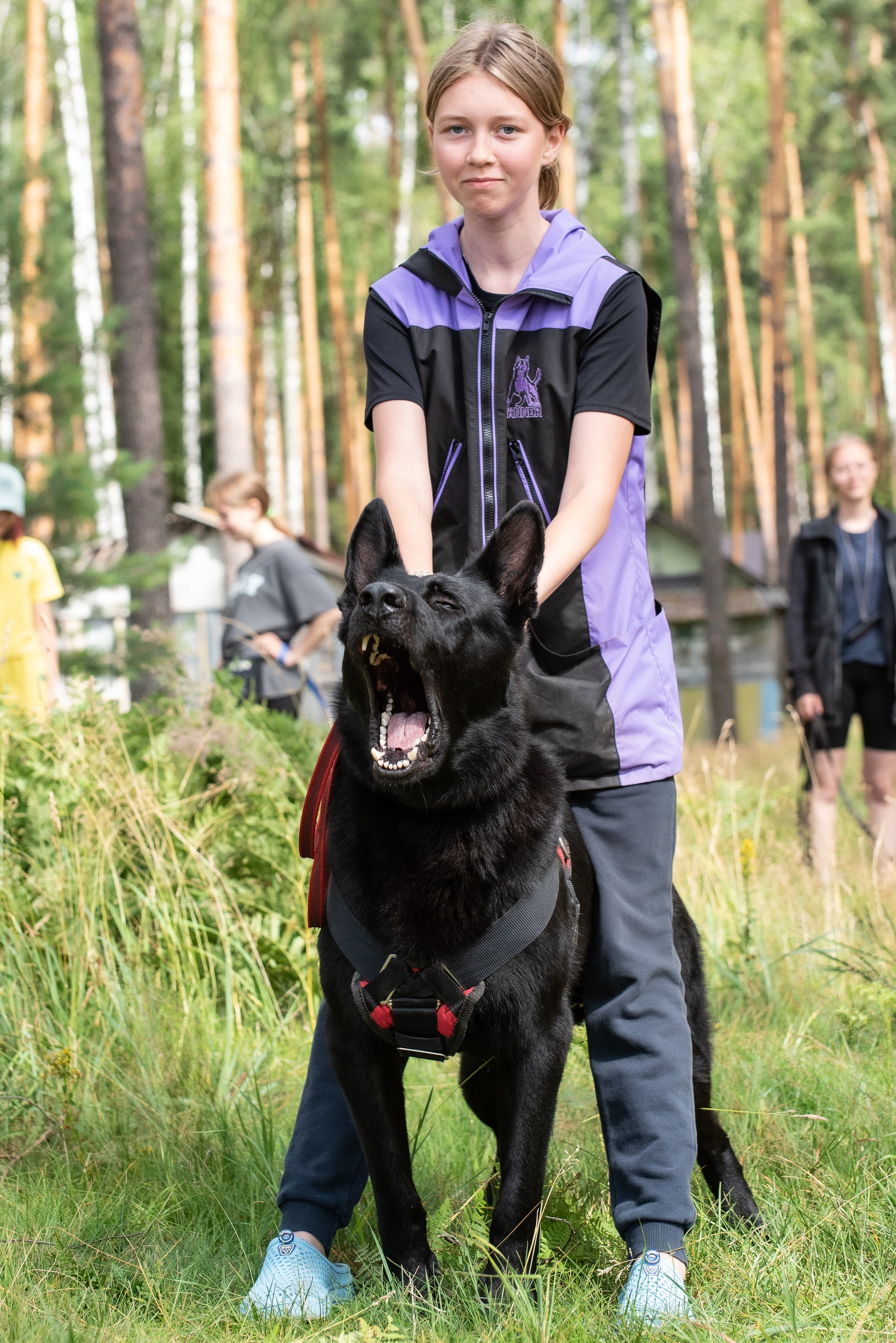 Всплеск эмоций 2023 Кинологический фестиваль. Фотограф Макс Огурцов в Нижнем Новгороде