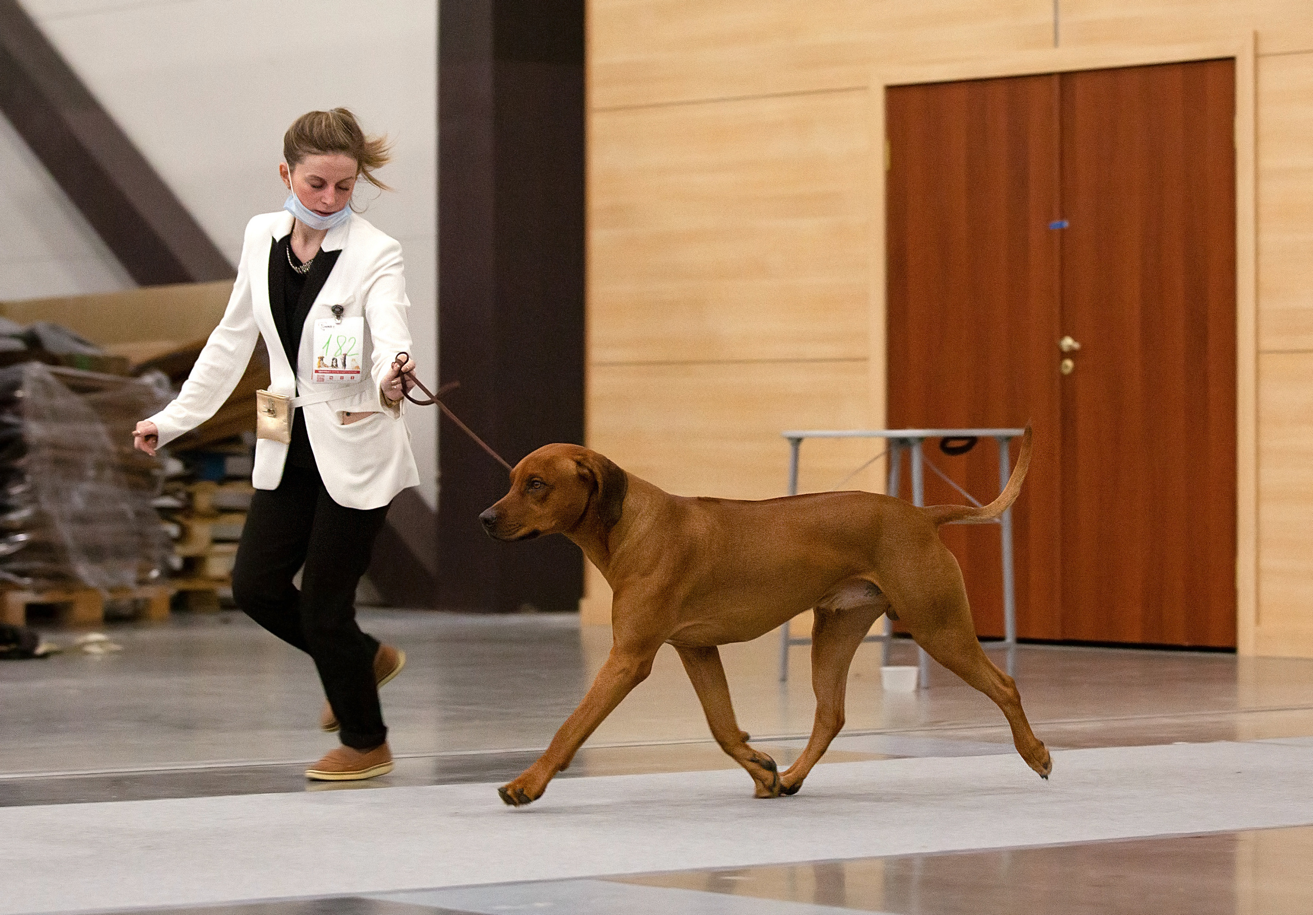 Выставки / репортаж. Фотограф — анималист в Санкт — Петербурге Анна Орис