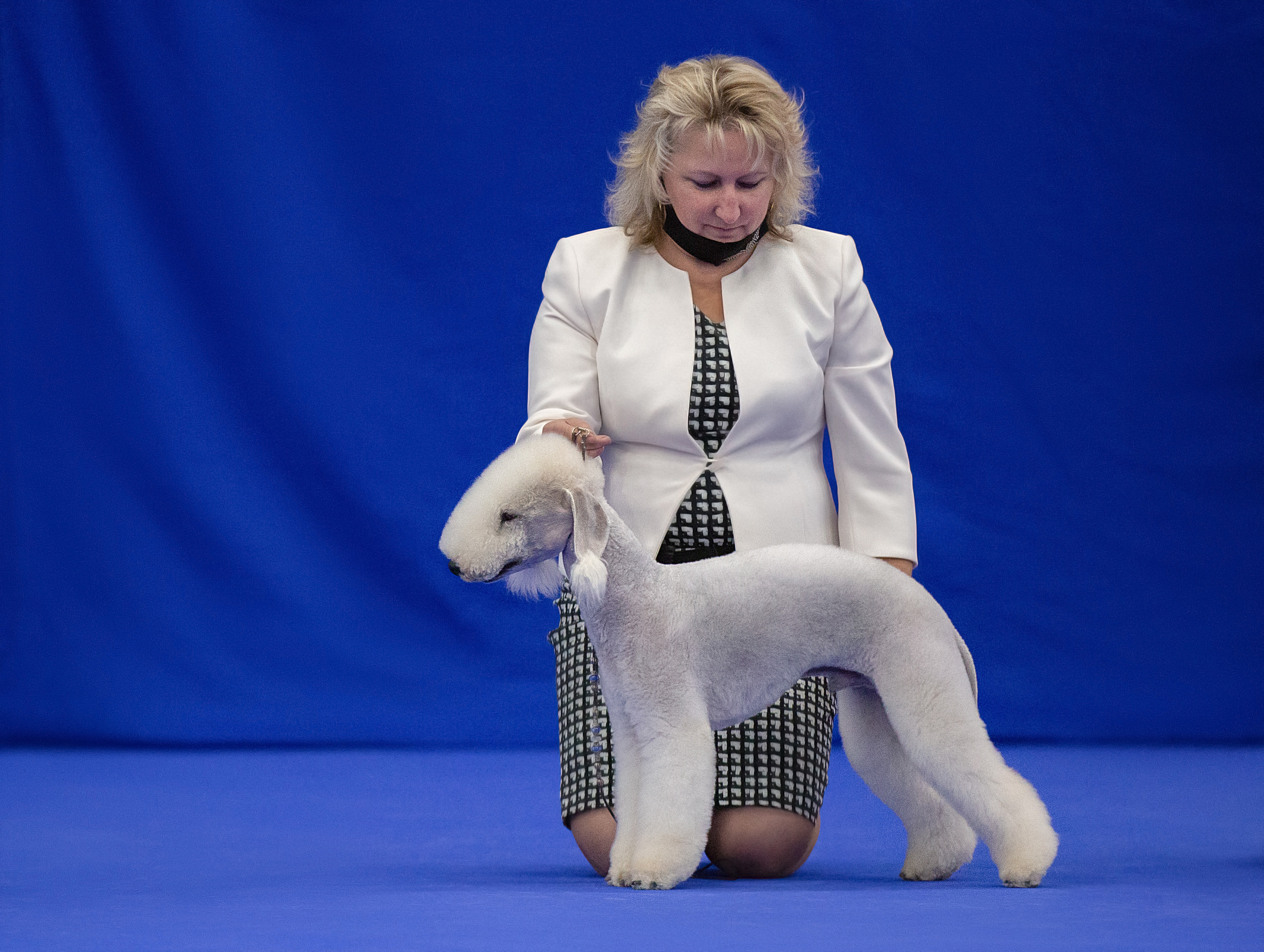 Выставки / репортаж. Фотограф — анималист в Санкт — Петербурге Анна Орис