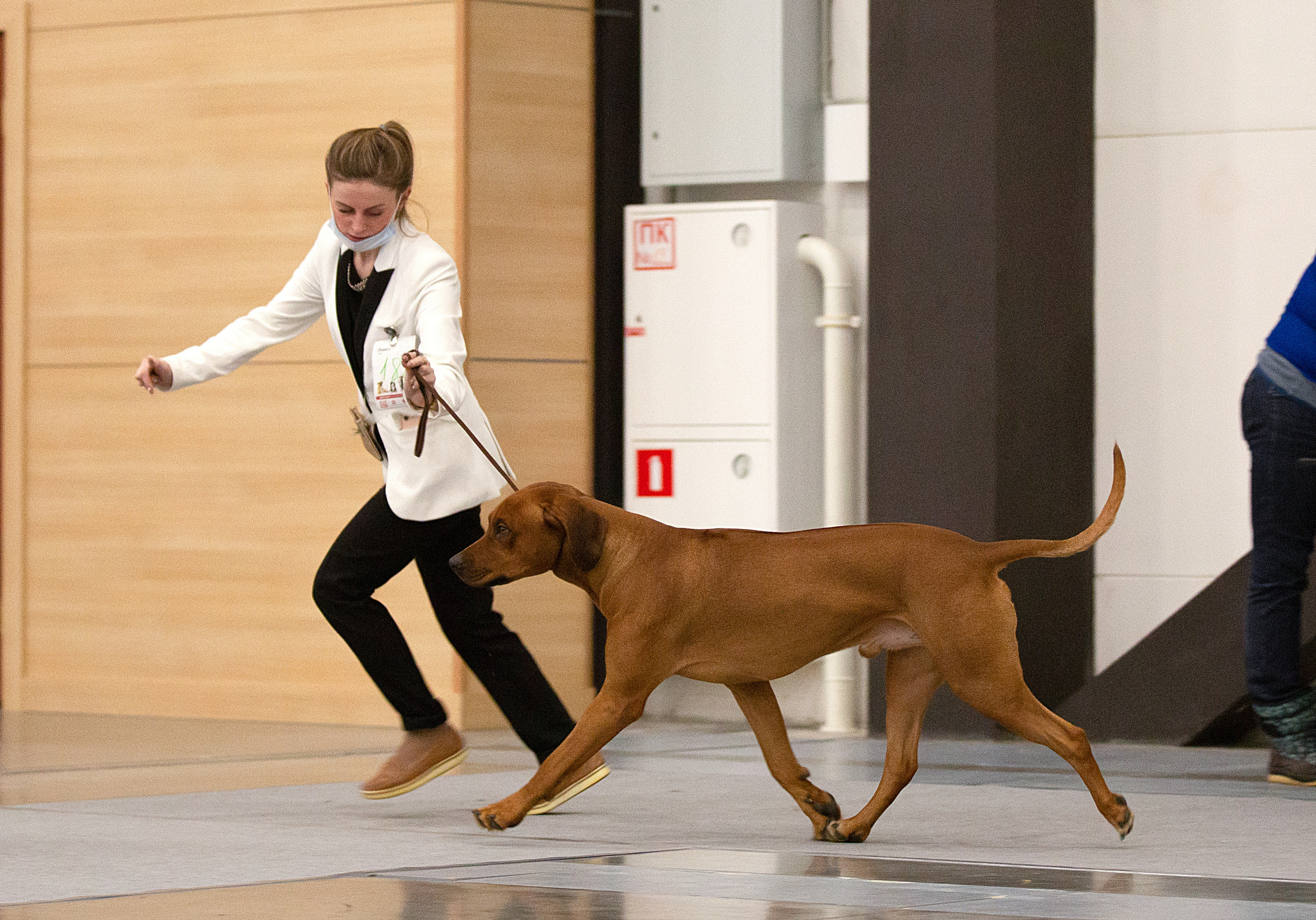 Выставки / репортаж. Фотограф — анималист в Санкт — Петербурге Анна Орис