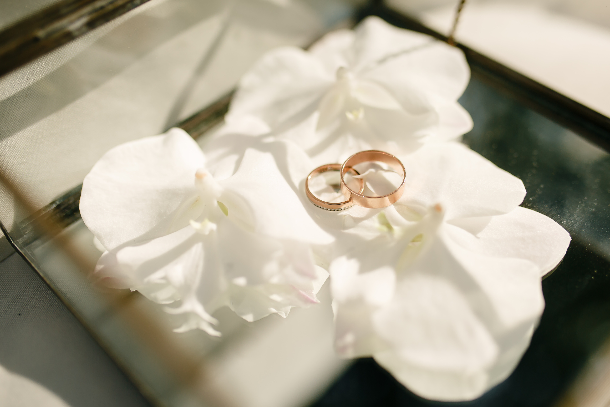 Свадебная фотосессия в Москве. Свадебный фотограф Серпухов — Москва Ольга Васильева