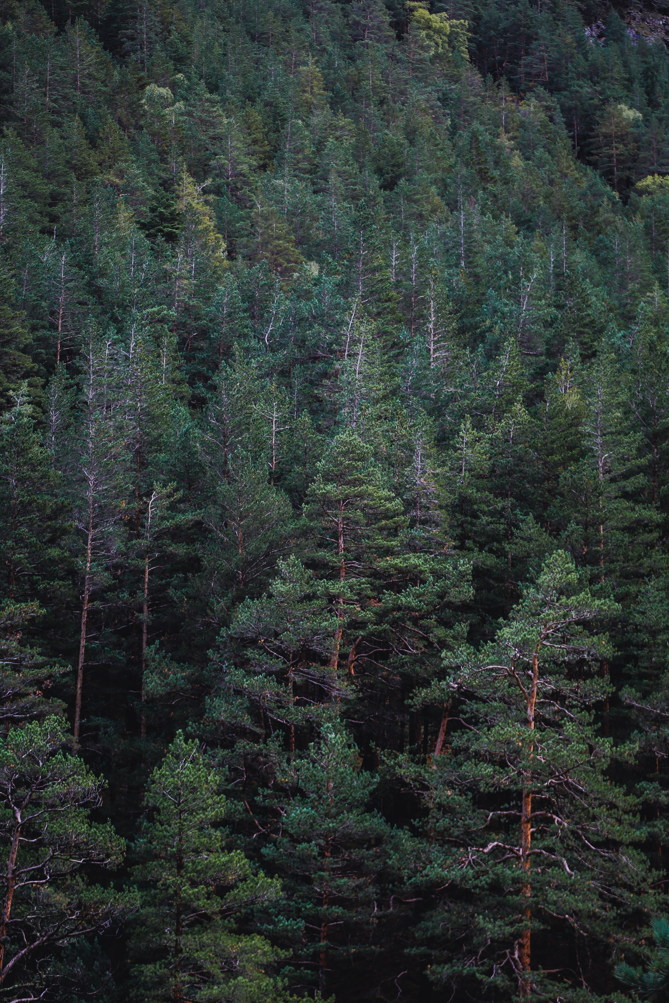 Кавказ: Кабарда vs. Балкария. Дарья Письменюк / Darya Leitstern — фотограф, музыкант, журналист, путешественник