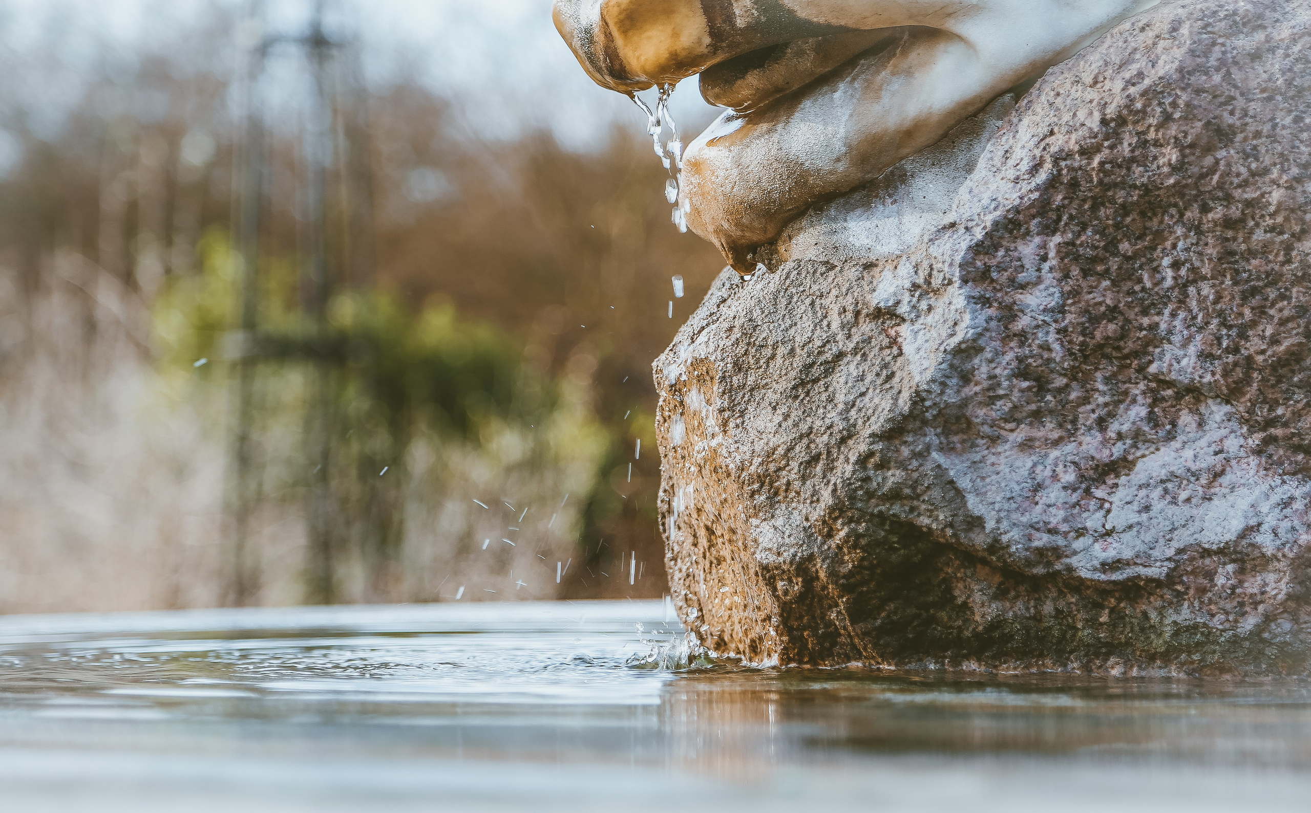 Англия: Лондон цветущий. Дарья Письменюк / Darya Leitstern — фотограф, музыкант, журналист, путешественник