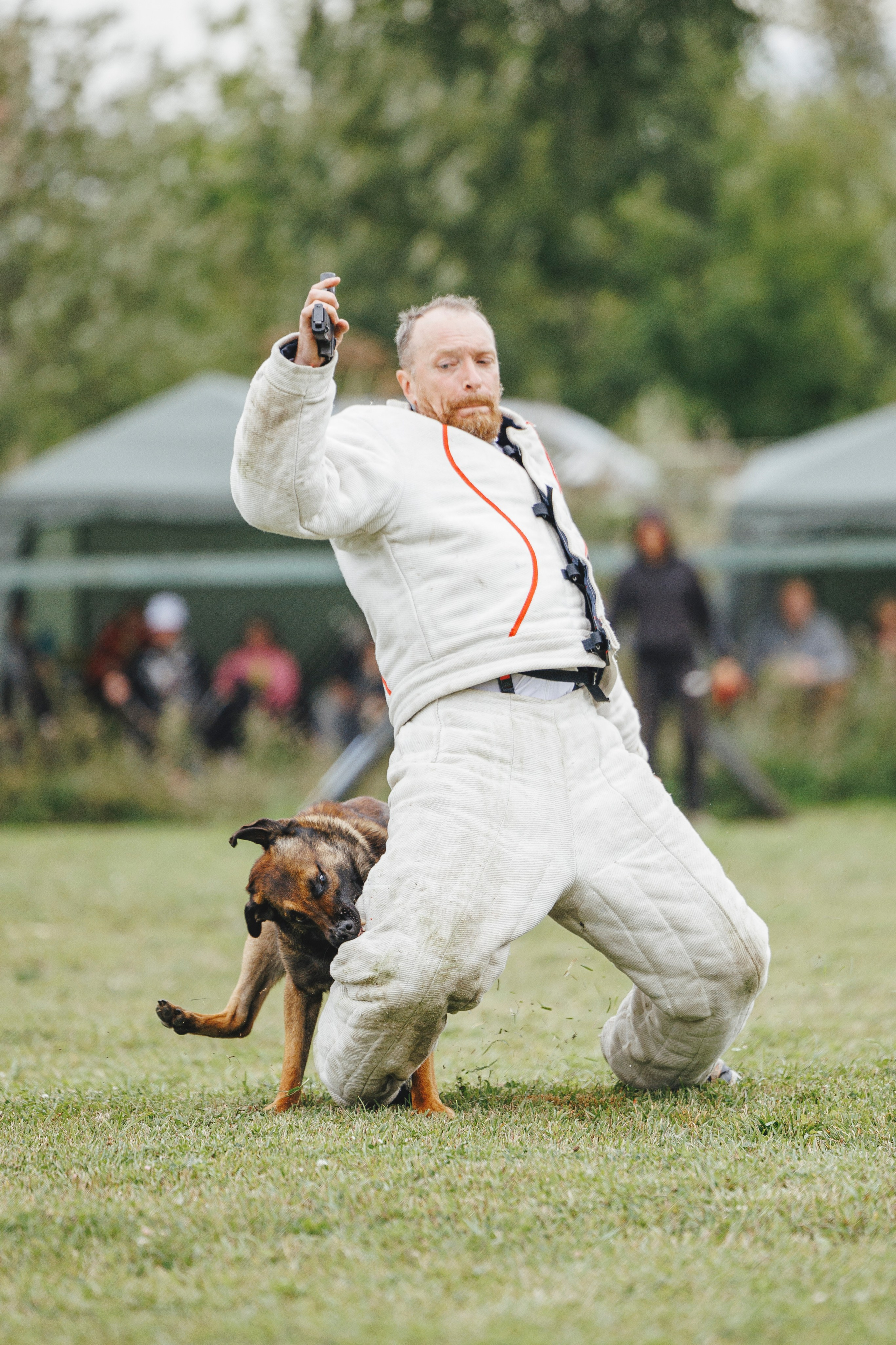 08.08.25-10.08.25 ЧР по мондьорингу г. Вологда. Фотограф-анималист Анна Маринич