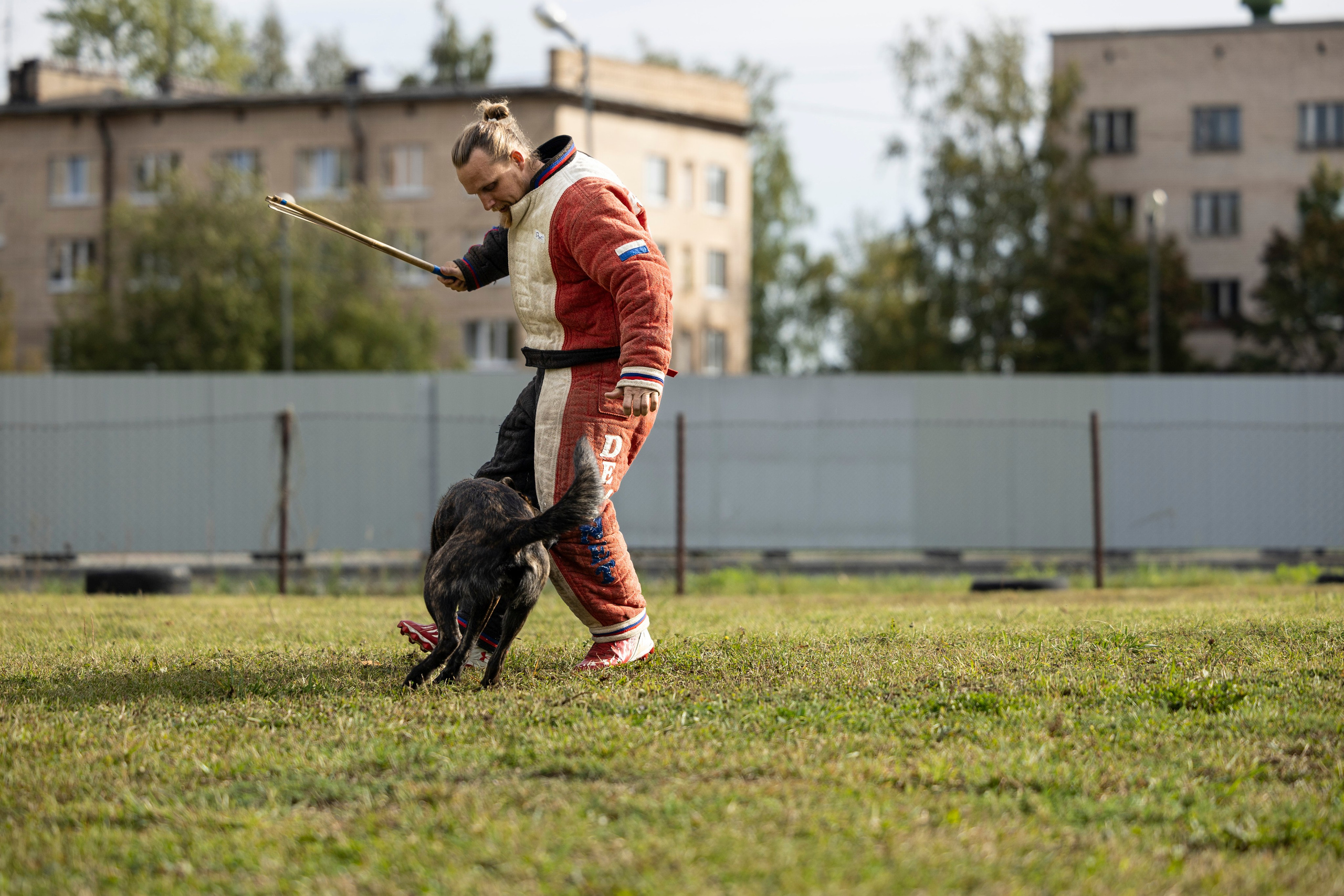 Испытания по Мондьорингу г. Пушкин. Фотограф-анималист Анна Маринич
