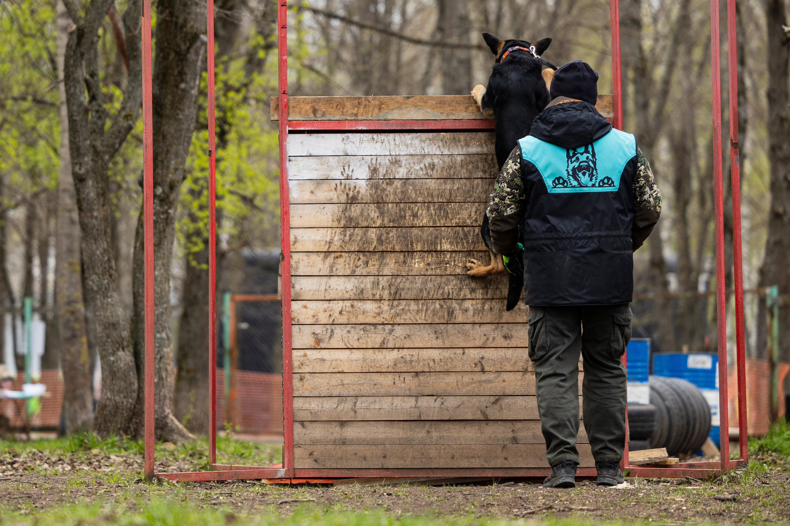 Квалификационные состязания по мондьорингу г. Вологда 11.05.24. Фотограф-анималист Анна Маринич