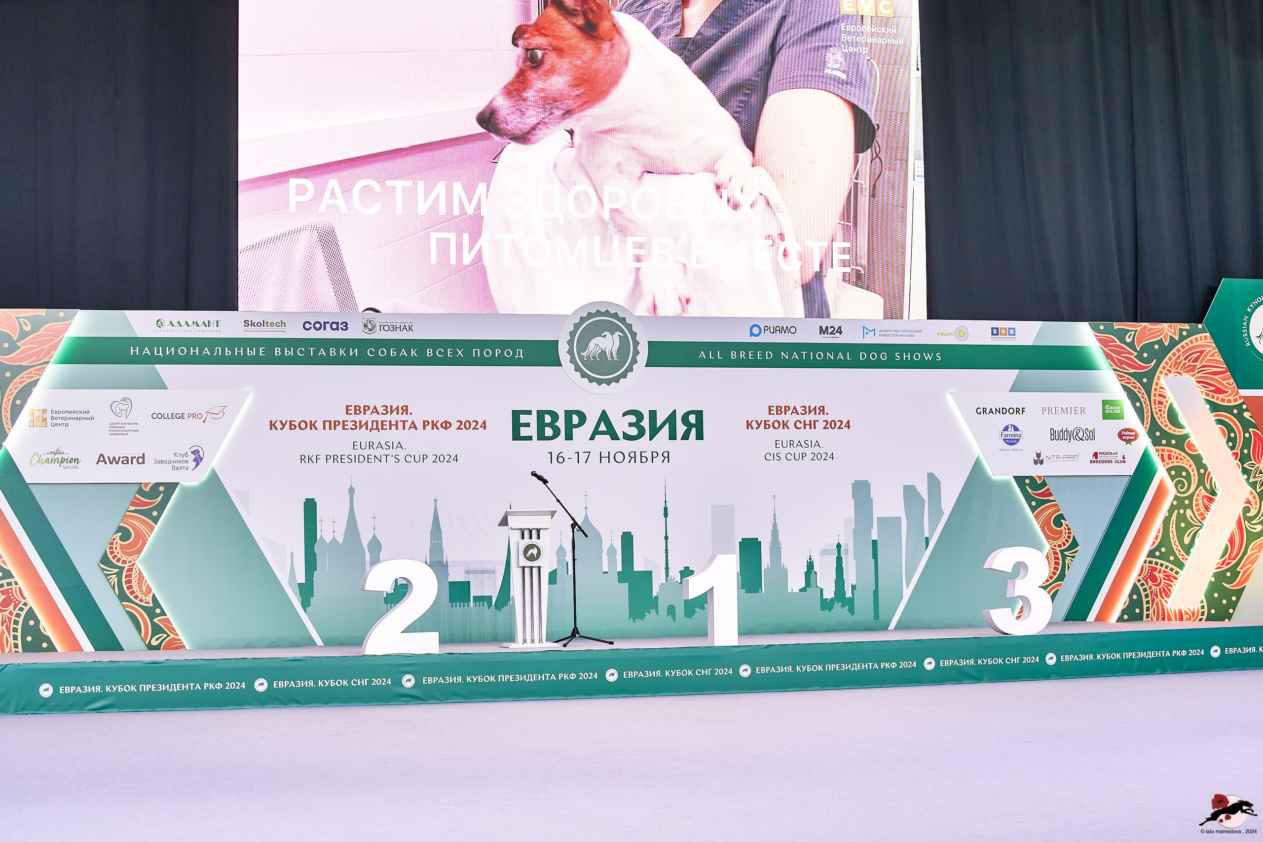 16.11.2024 «ЕВРАЗИЯ. КУБОК ПРЕЗИДЕНТА РКФ 2024»