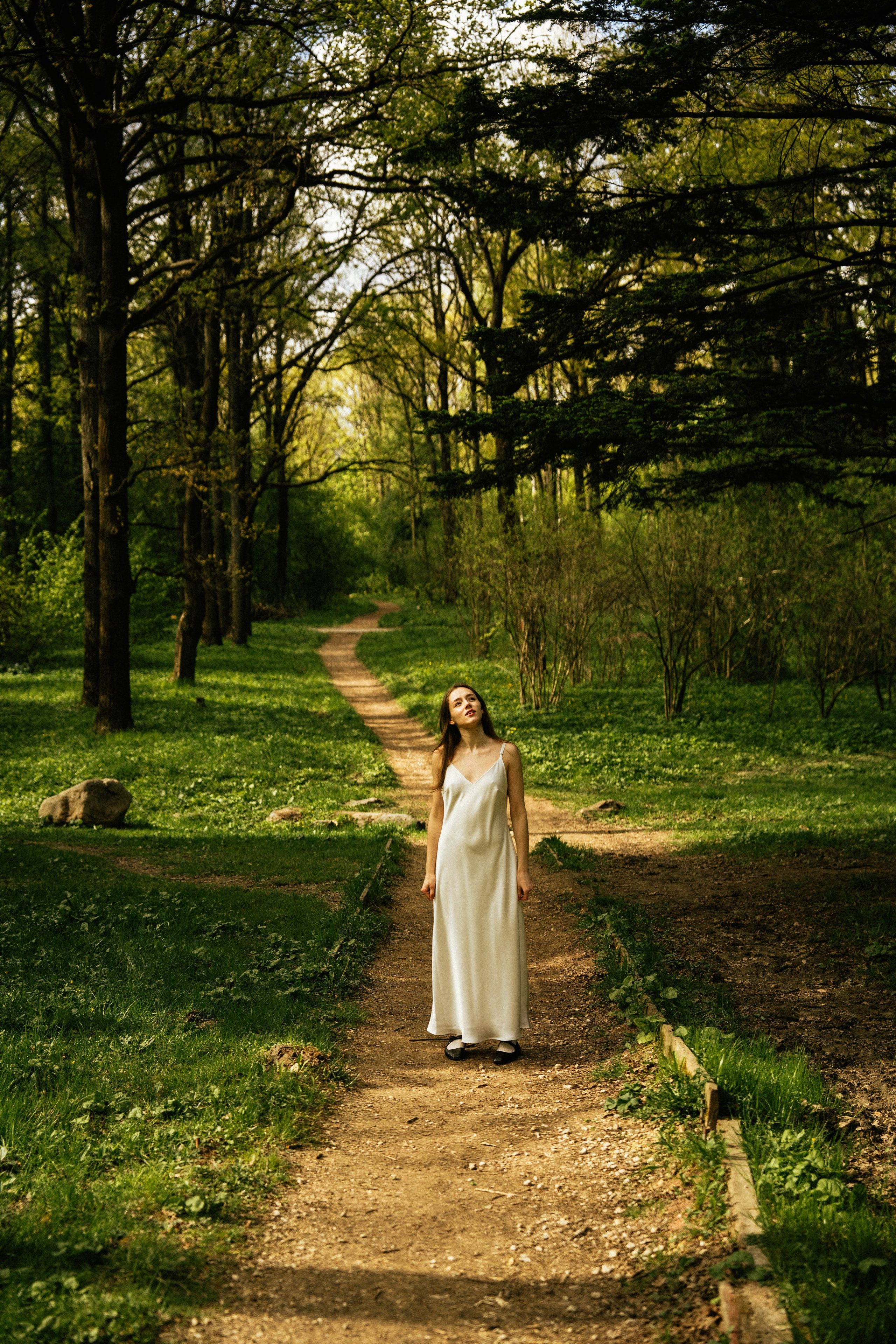 Галерея. Beardy Pix
