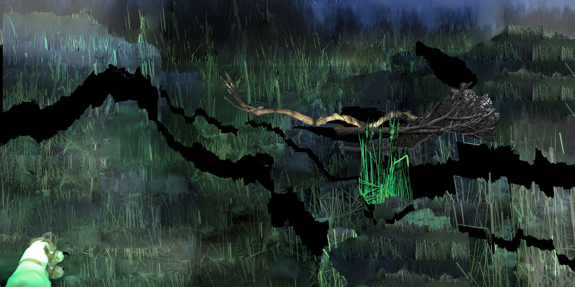 Walking art. Коллаж. Цифровой коллаж. 