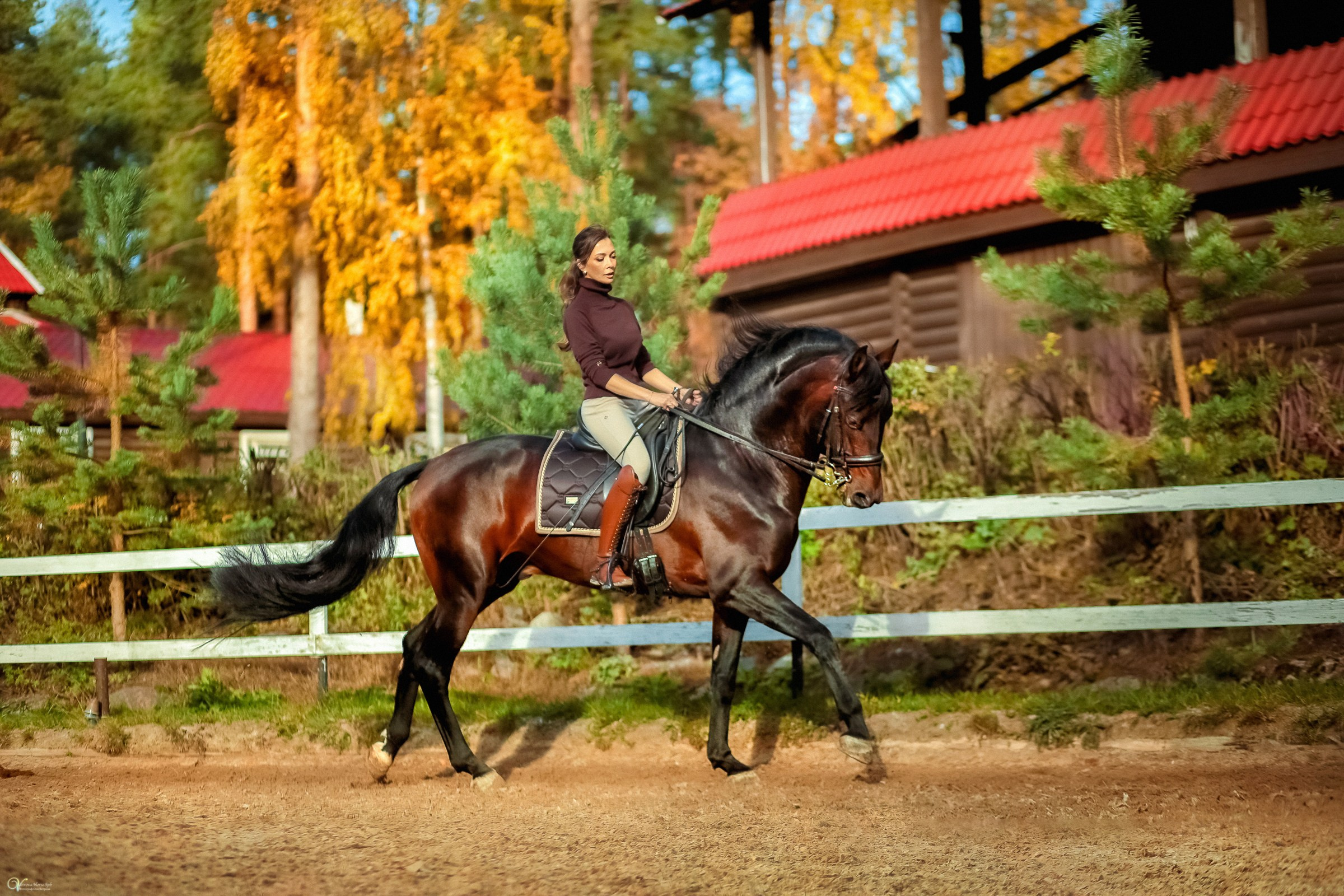 Фотосессии с лошадьми осенью. Фотограф женский и мужской портрет Санкт-Петербург