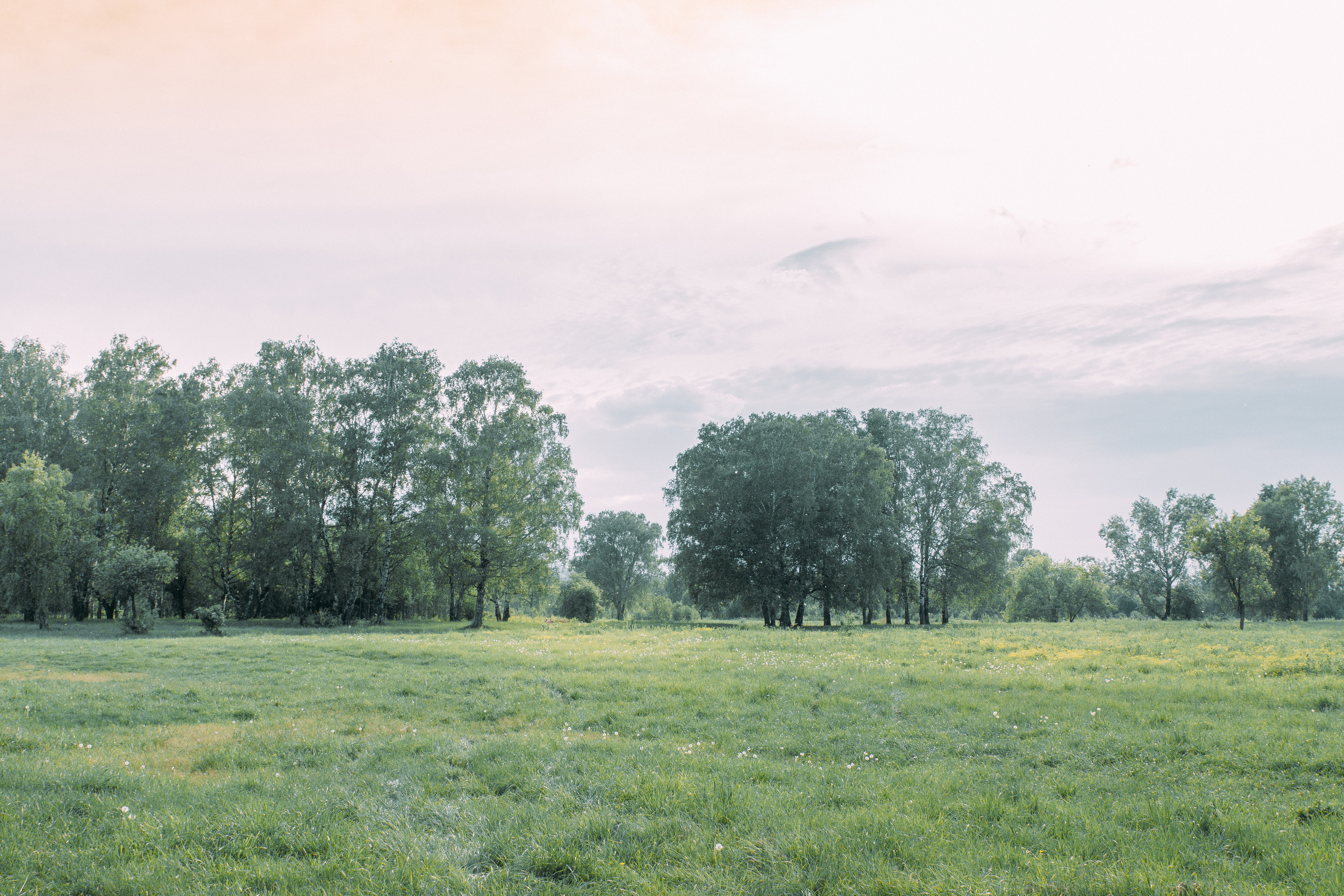 Дарина&Никита. Свадебный и портретный фотограф в Новокузнецке Екатерина Авдеева