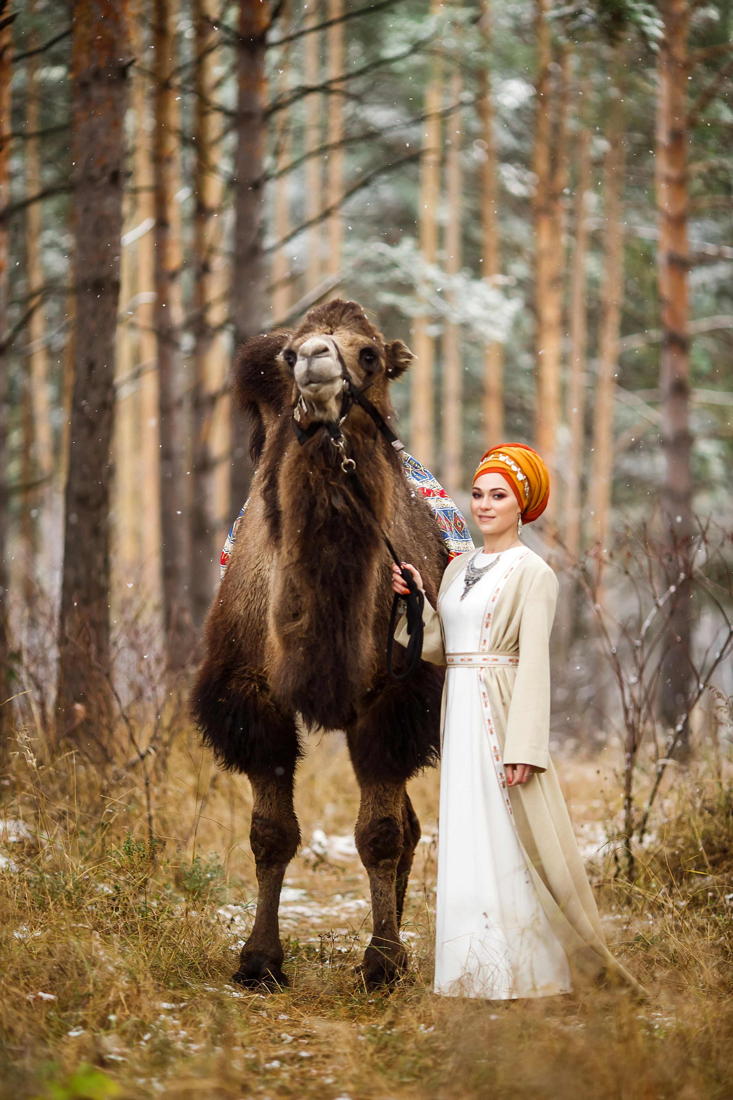 Никах 1 декабря. Свадебный, семейный и детский фотограф Набережные Челны