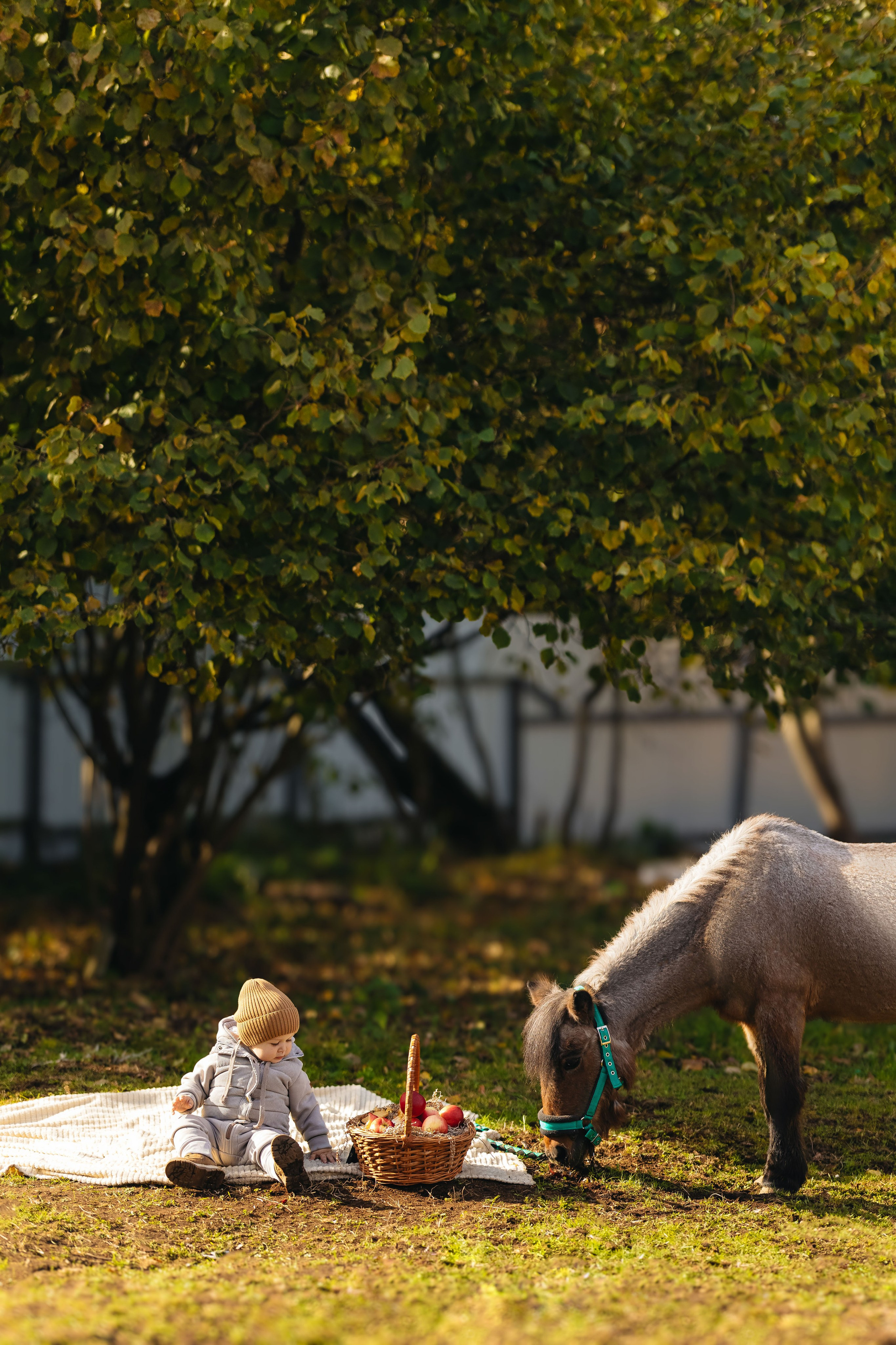 2024.10.02 Илья и лошадка. Ирина Бешляга. Фотограф в Москве и по всей России