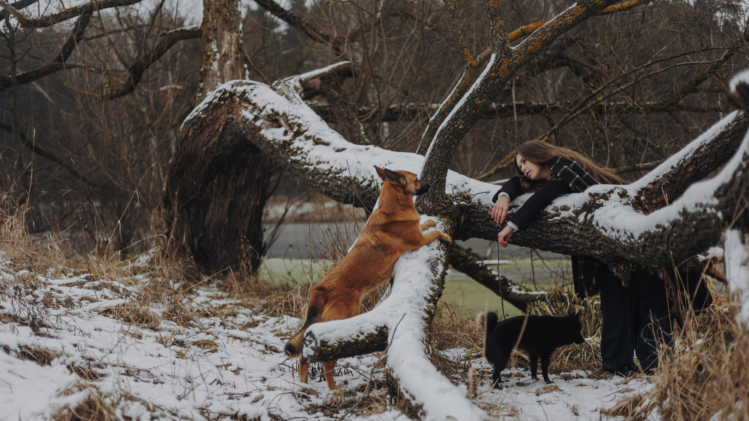 Юля, Лара и Йоми. Фотограф-анималист Богданова Полина