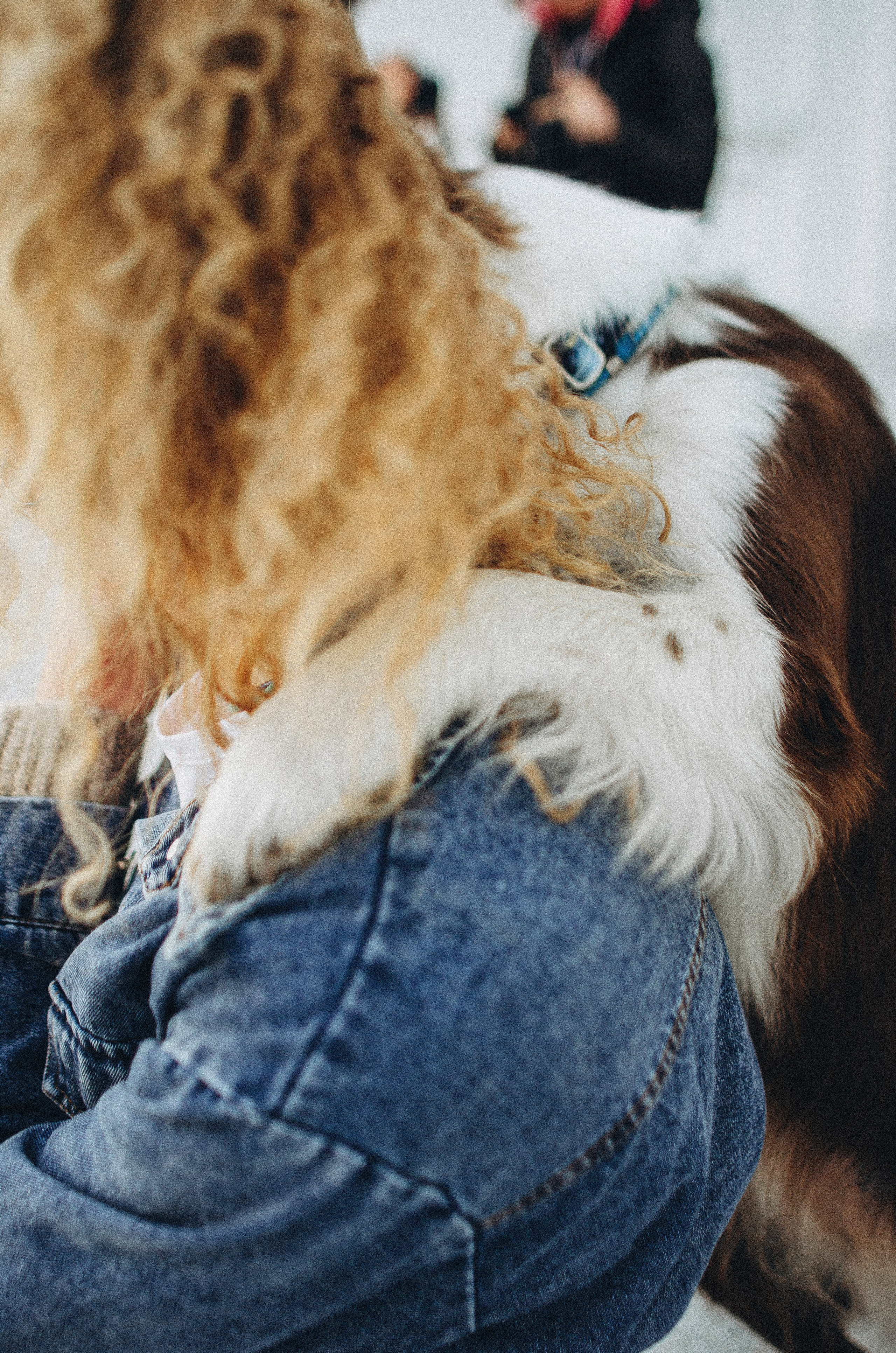 Лиза и Эни. Фотограф-анималист Богданова Полина