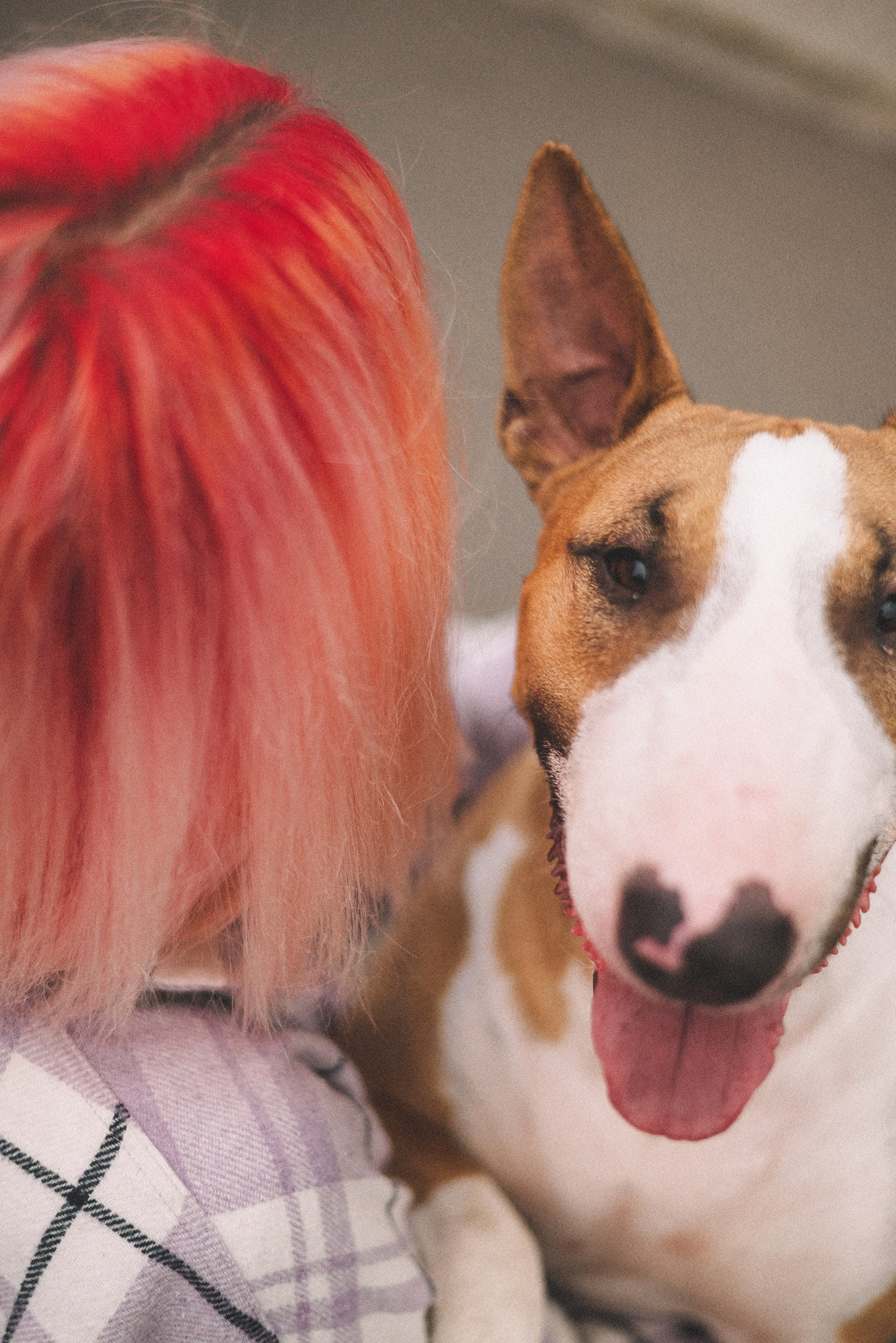 Маша и Рулька. Фотограф-анималист Богданова Полина