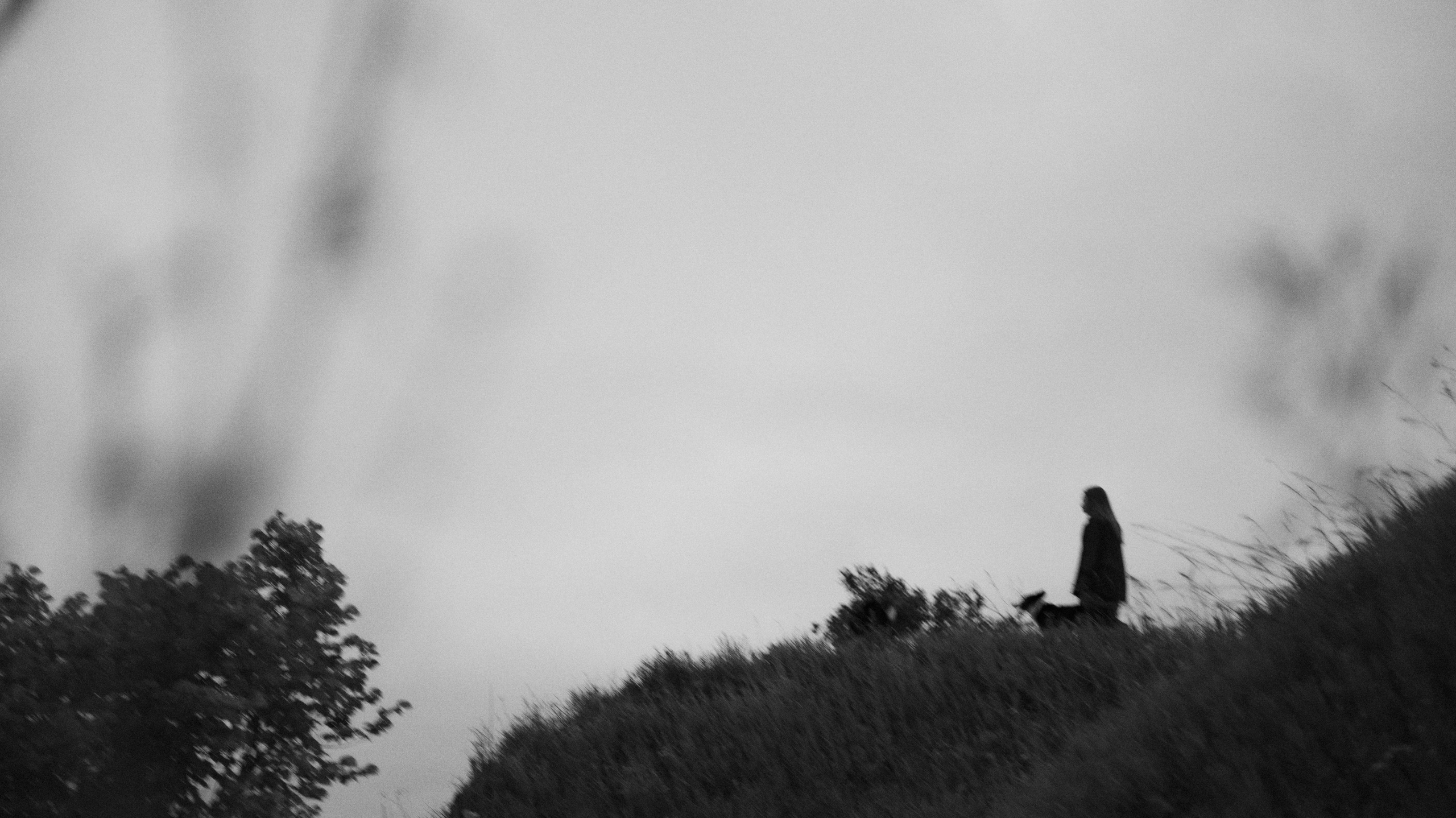 Аделя, Вандер, Шайна и Бая. Фотограф-анималист Богданова Полина