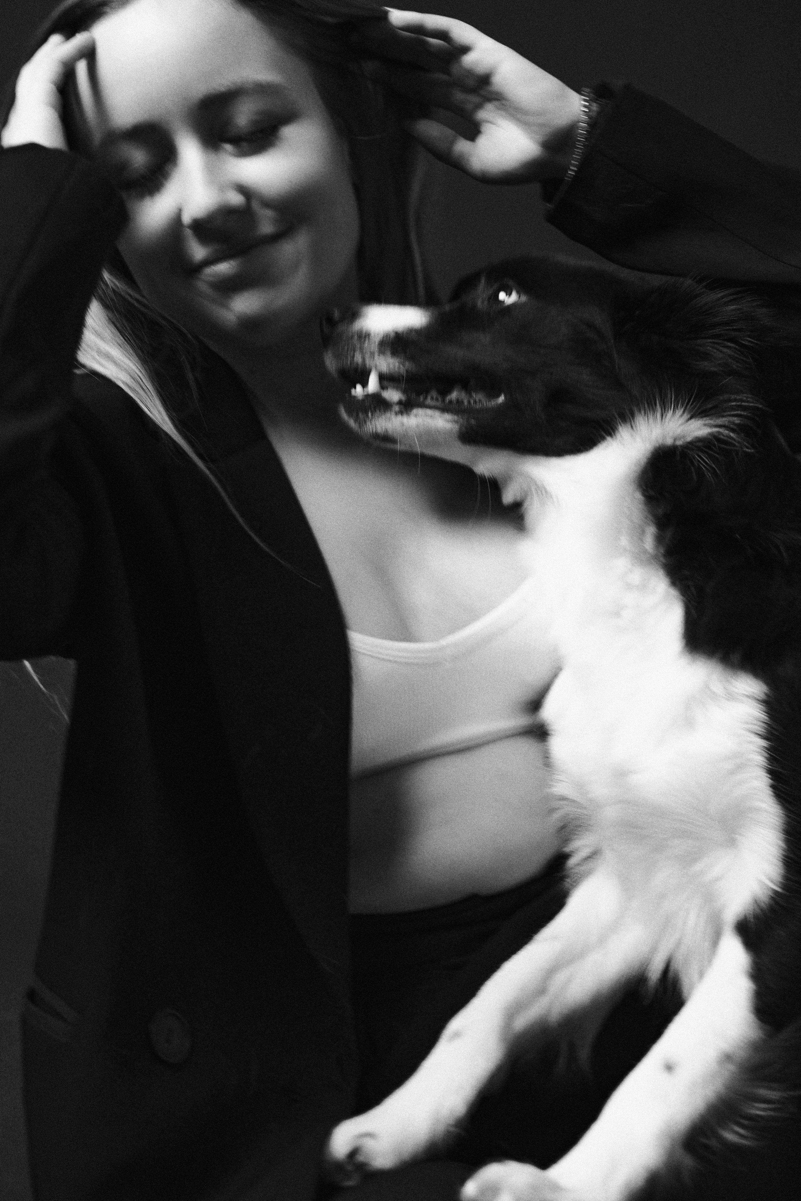 Даша, Дже и Рива. Фотограф-анималист Богданова Полина