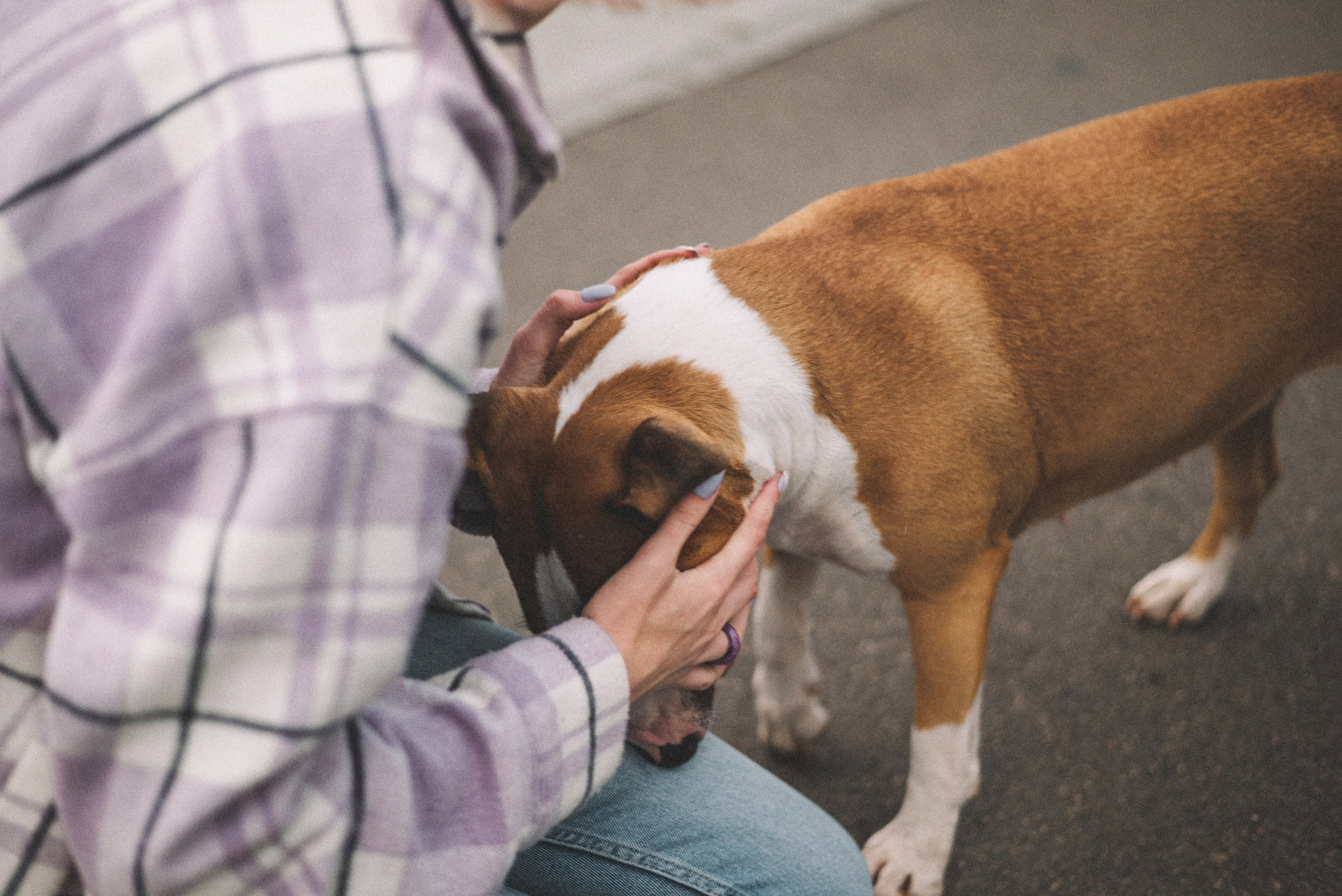 Маша и Рулька. Фотограф-анималист Богданова Полина