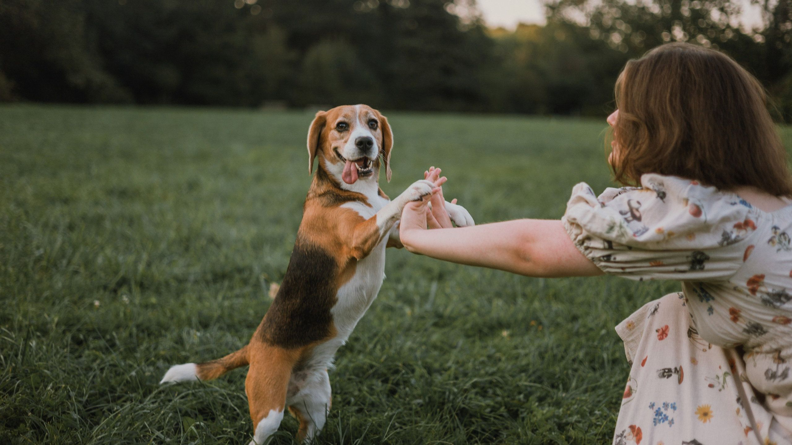 Лиза и Сара. Фотограф-анималист Богданова Полина