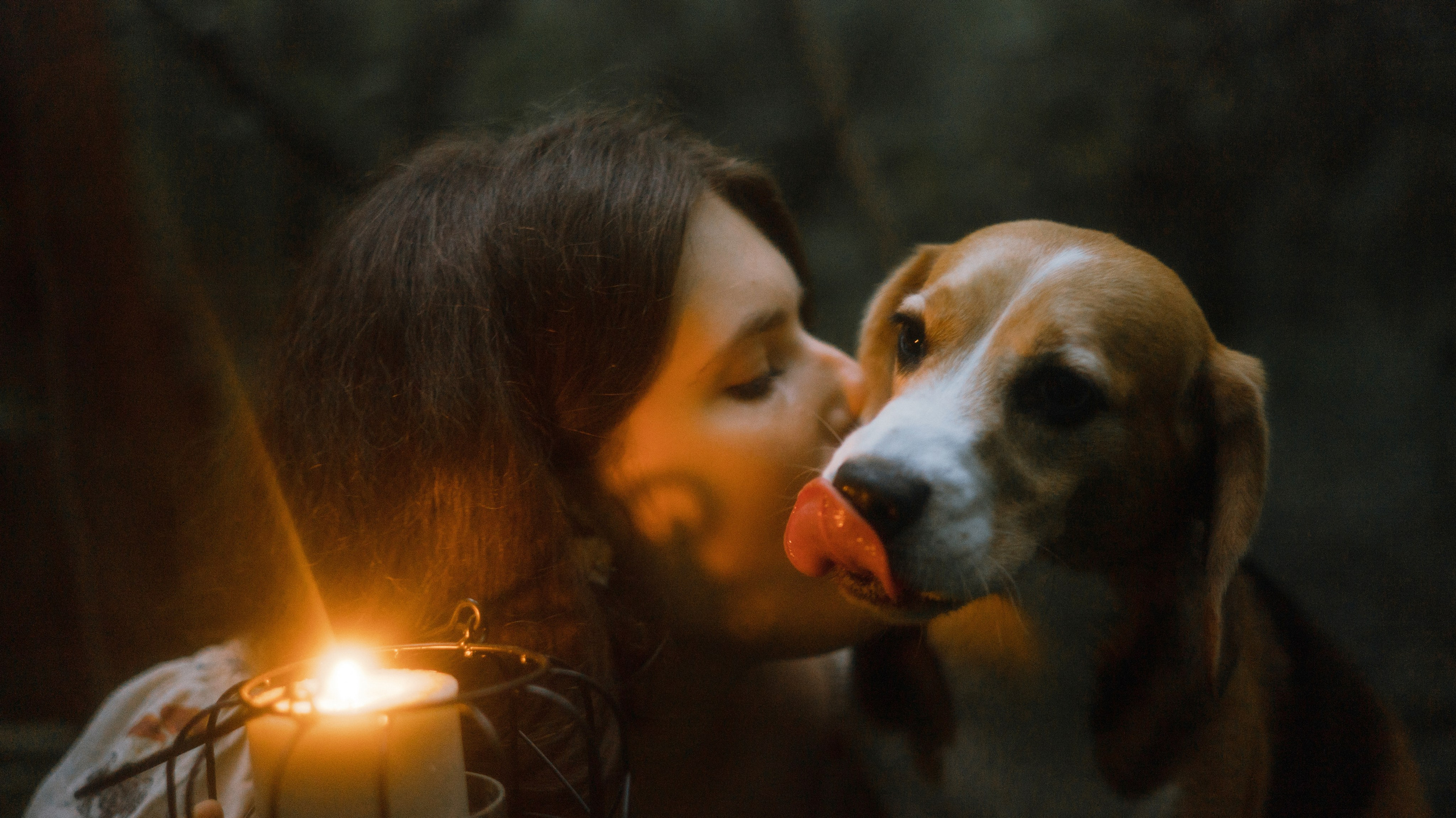 Лиза и Сара. Фотограф-анималист Богданова Полина