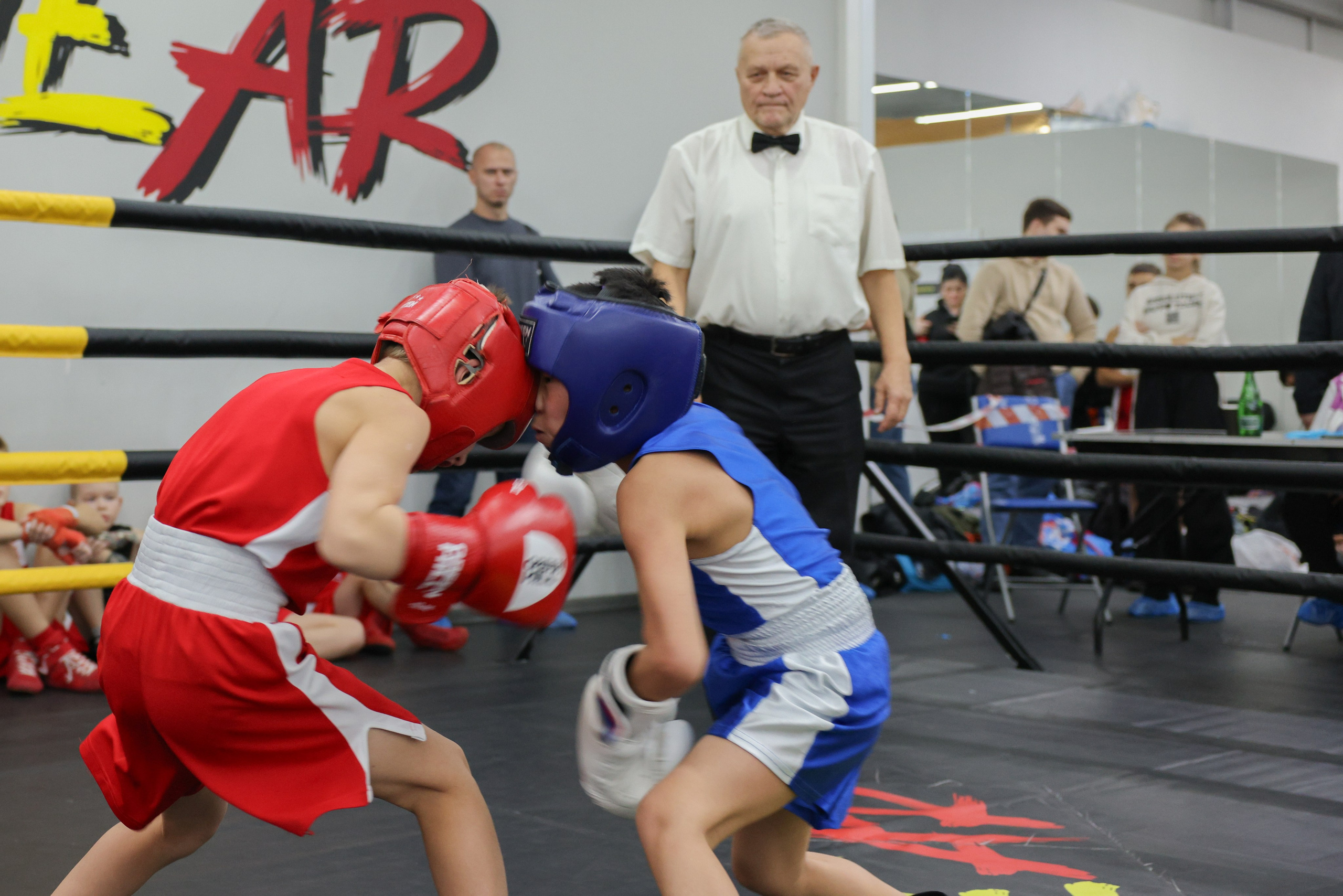 Открытый ринг «кубок ООО «ТЭК НеваСпецТяж». Фотограф Александр Заломаев
