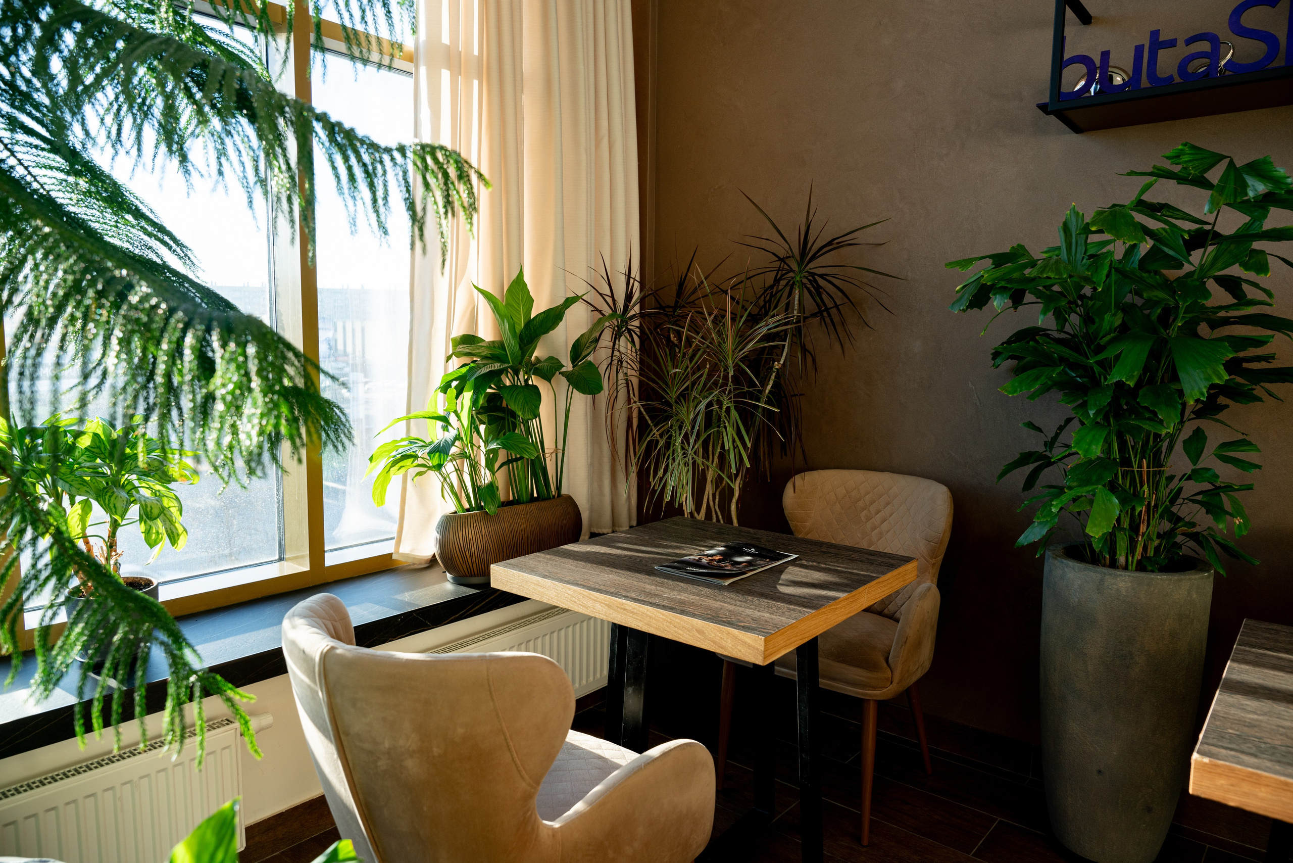 БУТА СПА. Фотограф на любое мероприятие