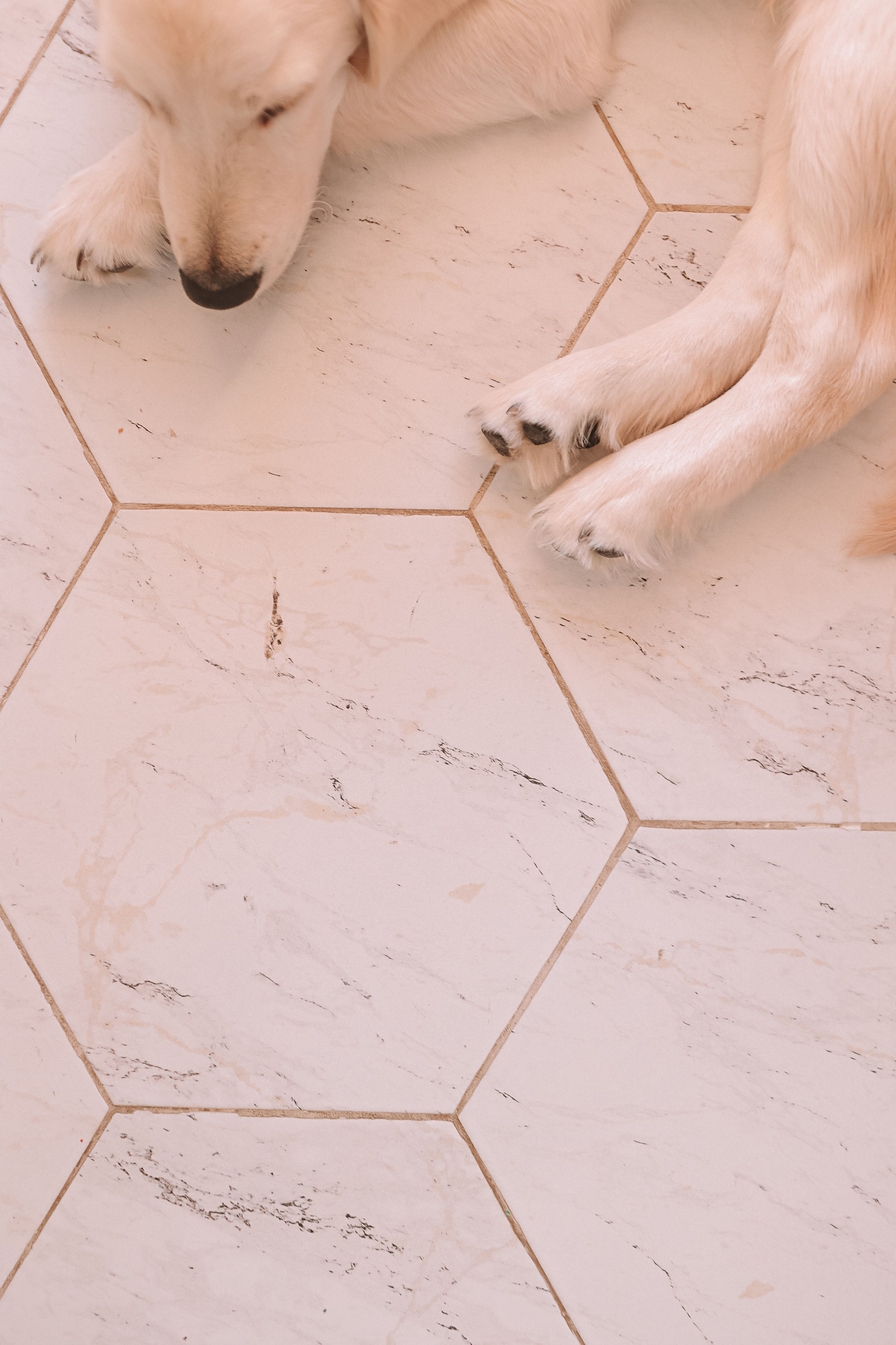 Наська (Чусовой). Семейный фотограф Тюмень, фотограф на роды Салмина Мария