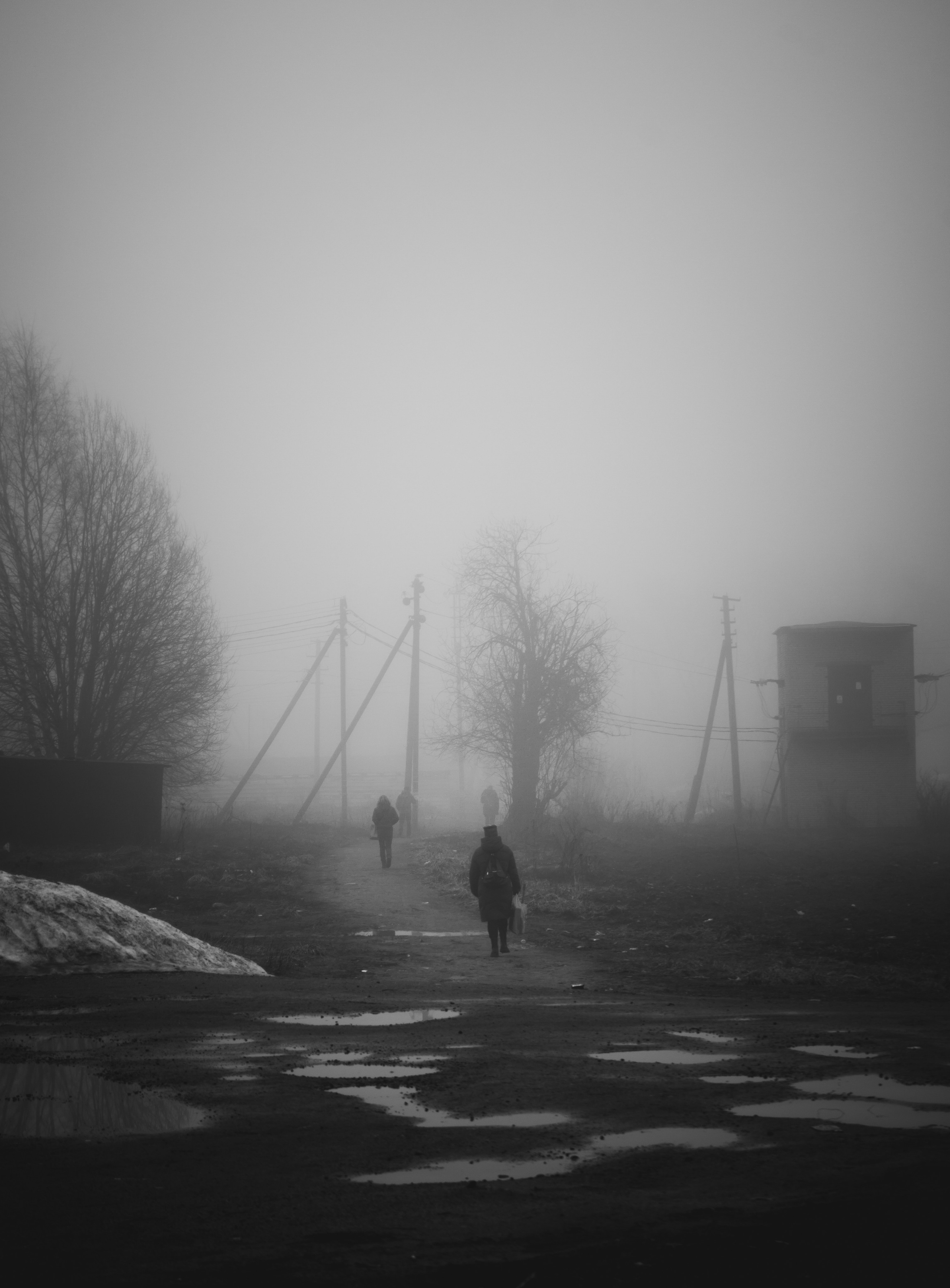 Туман, утренний туман в Санкт-Петербурге, туман в Романовке Санкт-Петербург, туман в черно-белом стиле, фото тумана в Санкт-Петербурге Ленинградская область 