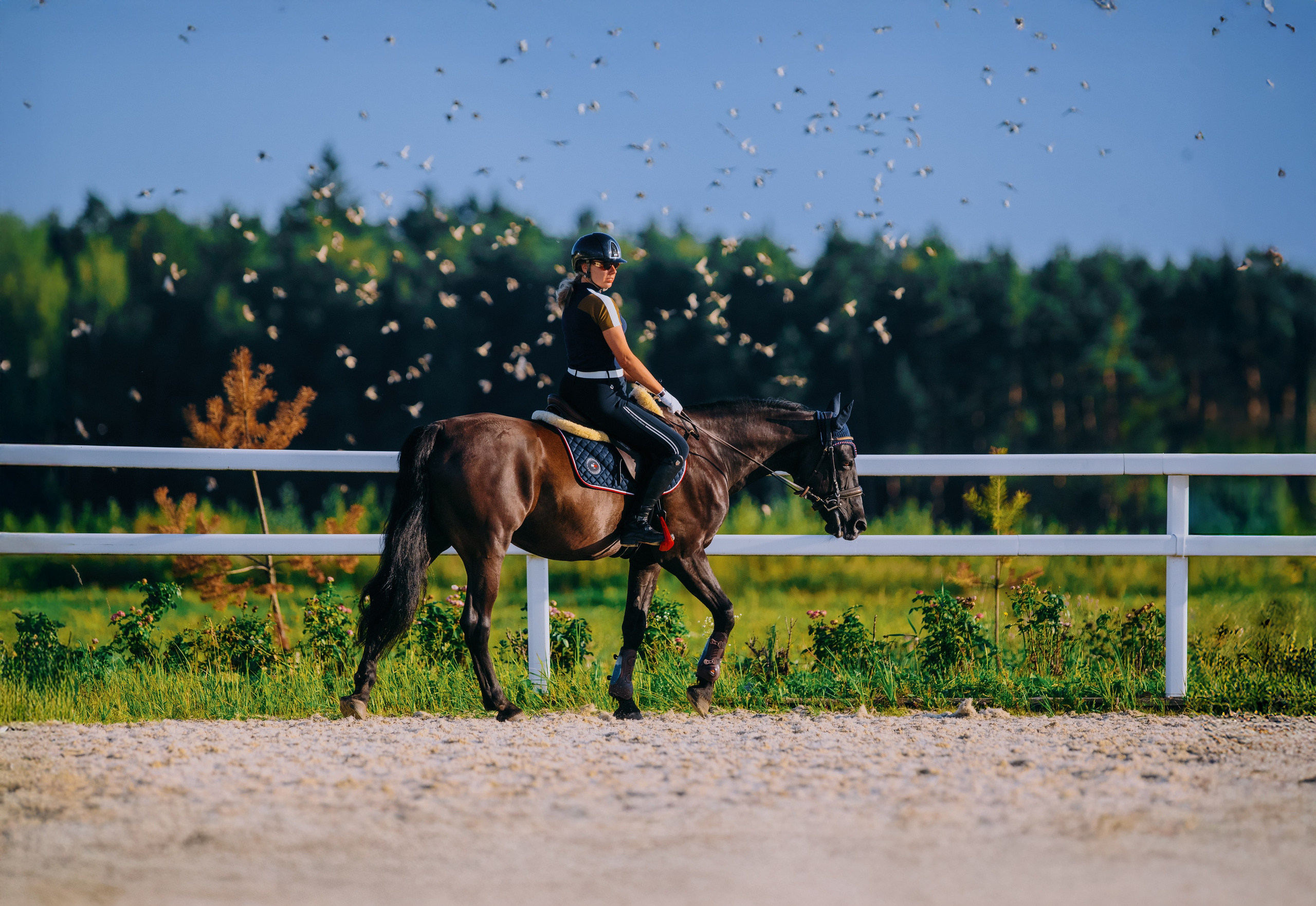 Тренировки. Фотограф-анималист Ксендзова Кристина