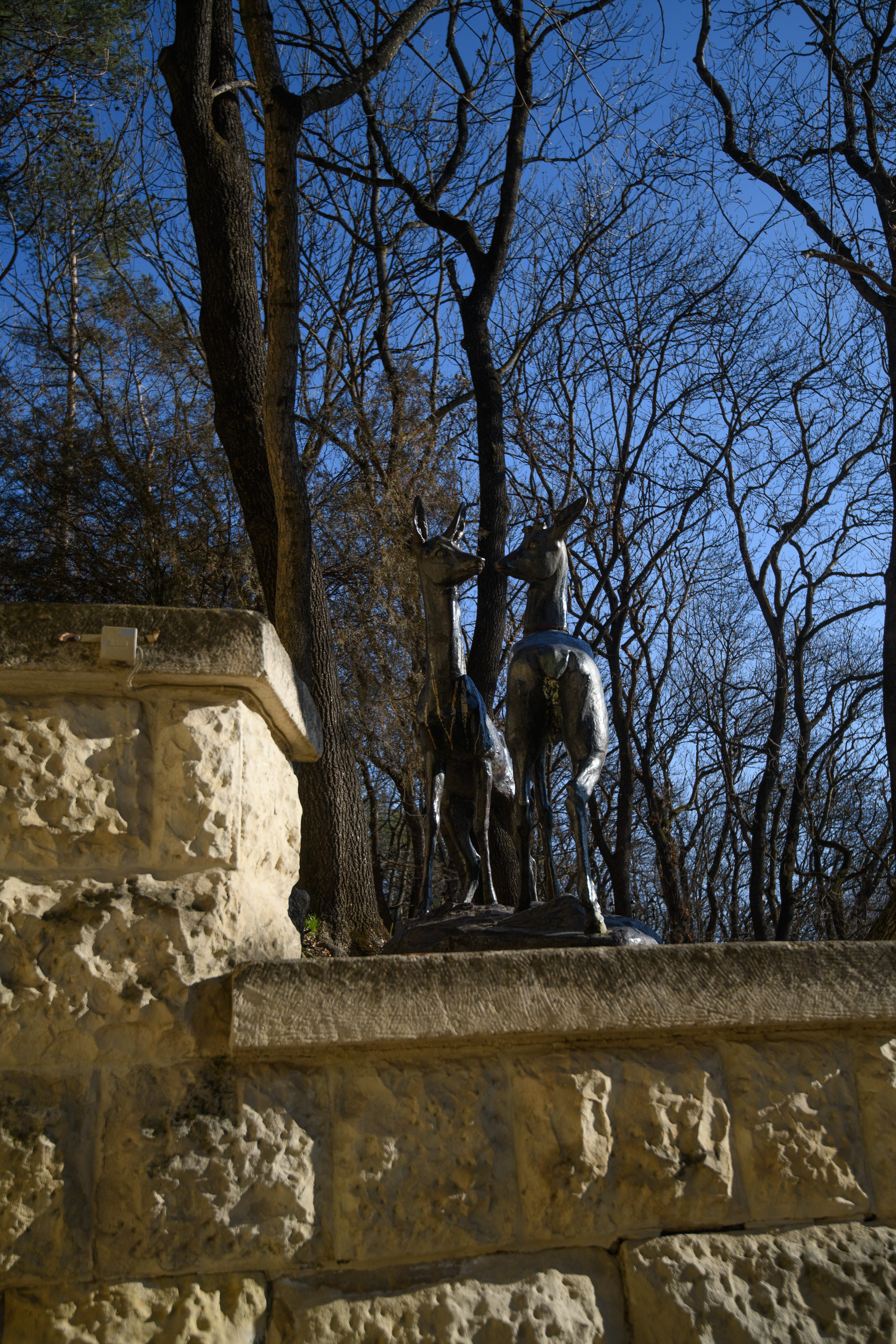 Ессентуки. Профессиональная фотосъемка. Ростов-на-Дону