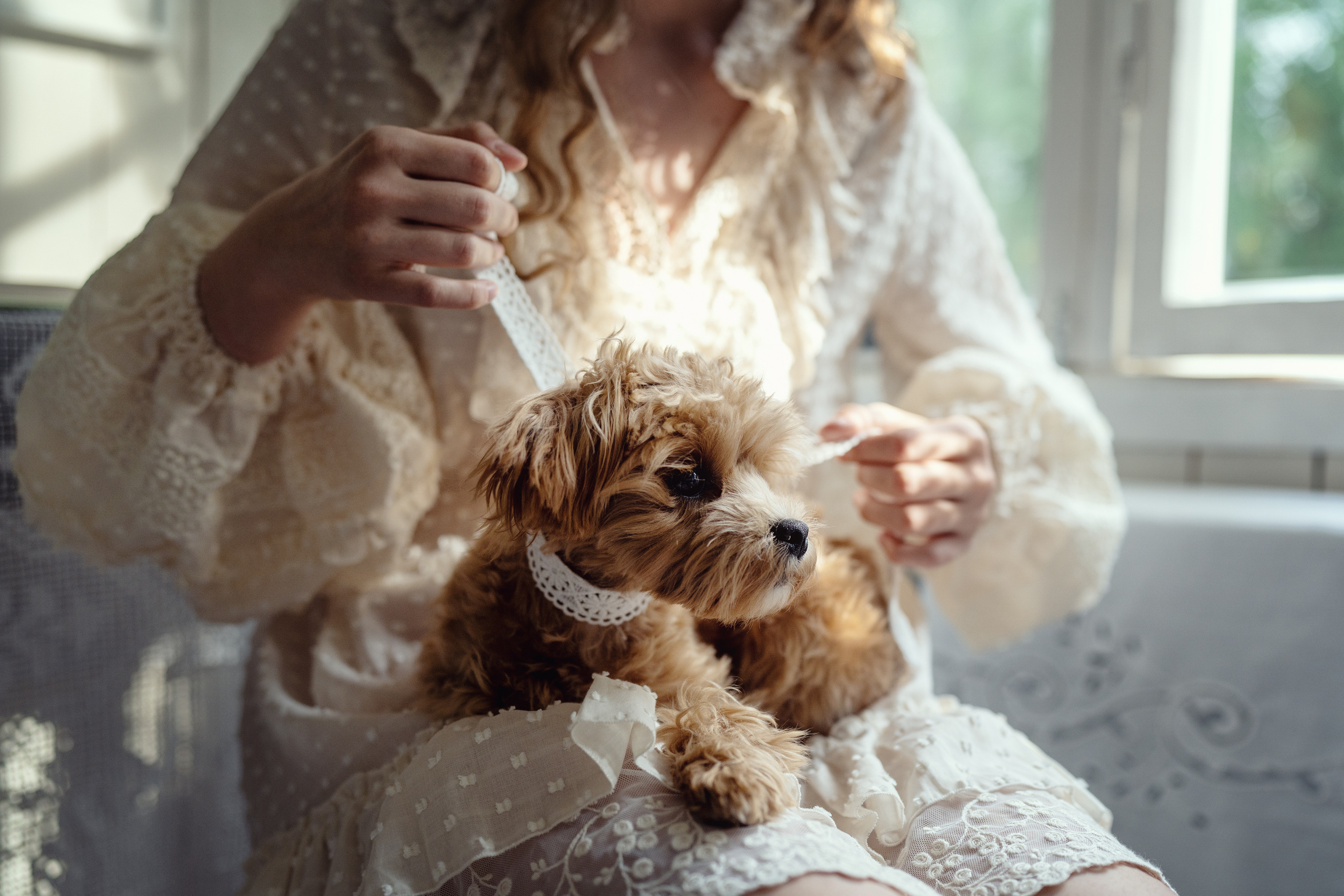 Семейные радости. Лето в Old New Home. Семейный фотограф Новая Рига (Звенигород, Истра) Евгения Литовченко