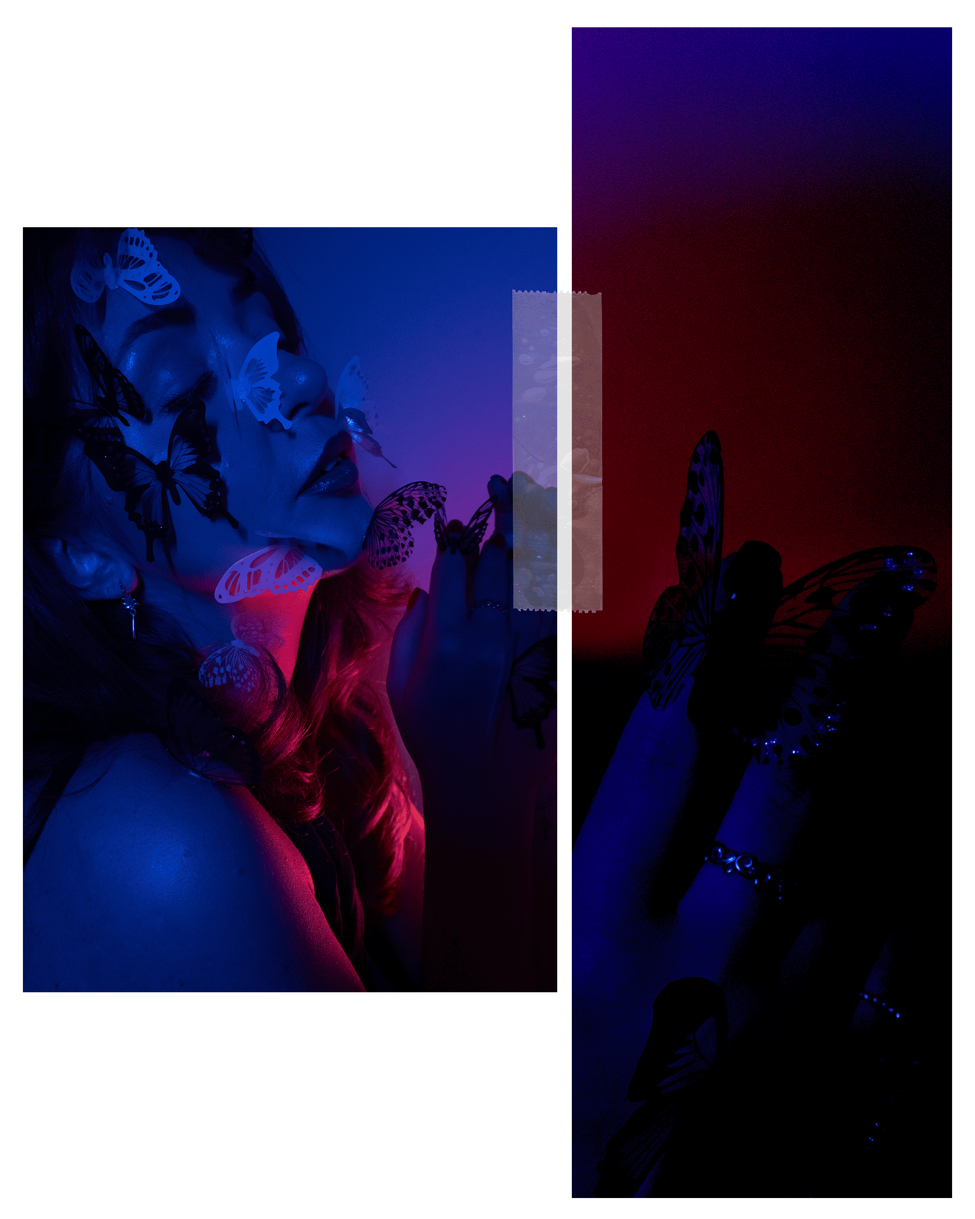 Бабочки. Фотограф Алиса Аспер