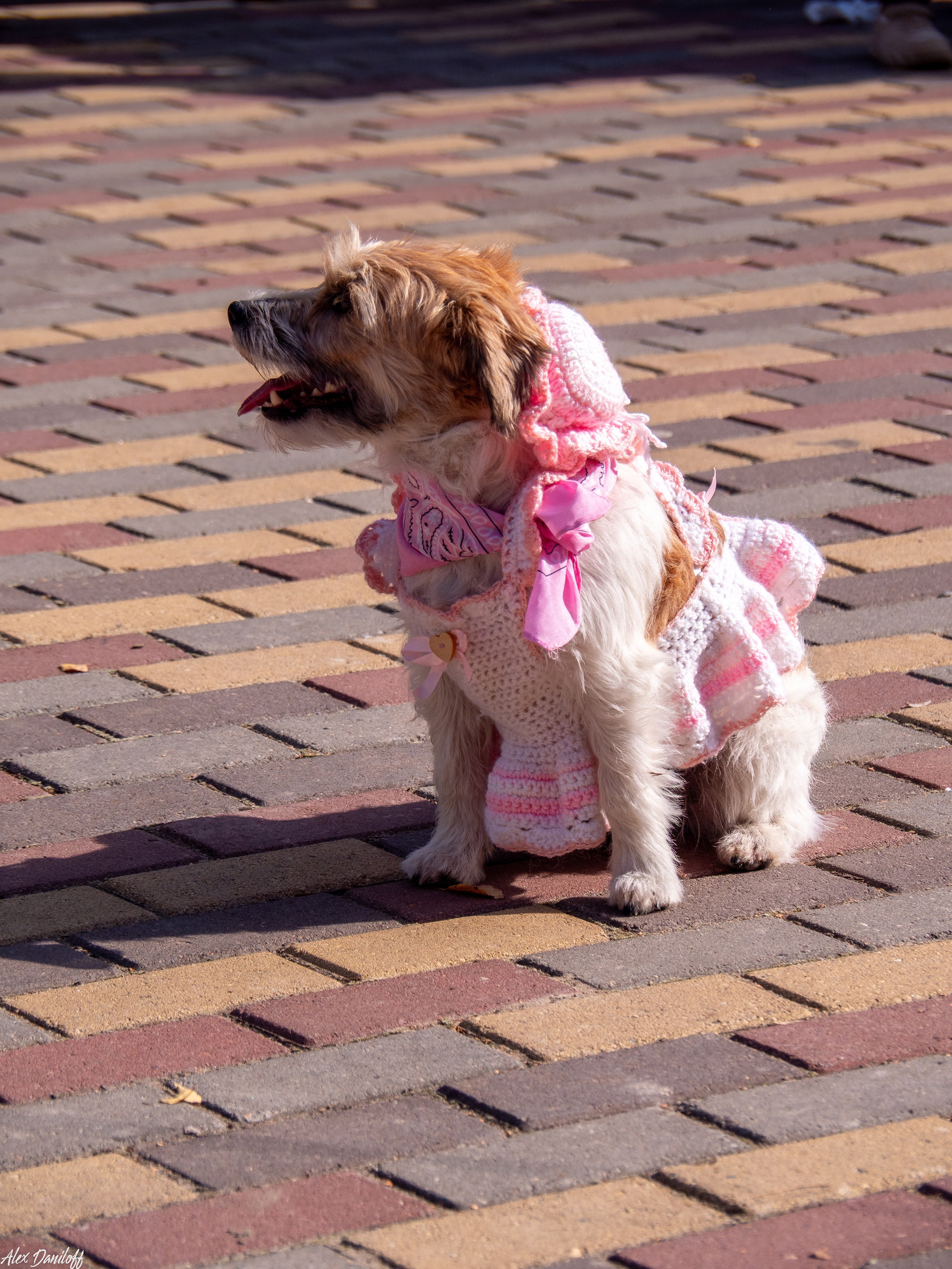 Обнимака 2025. Муром-Инфо. Новости культуры, образования, спорта в городе Муром