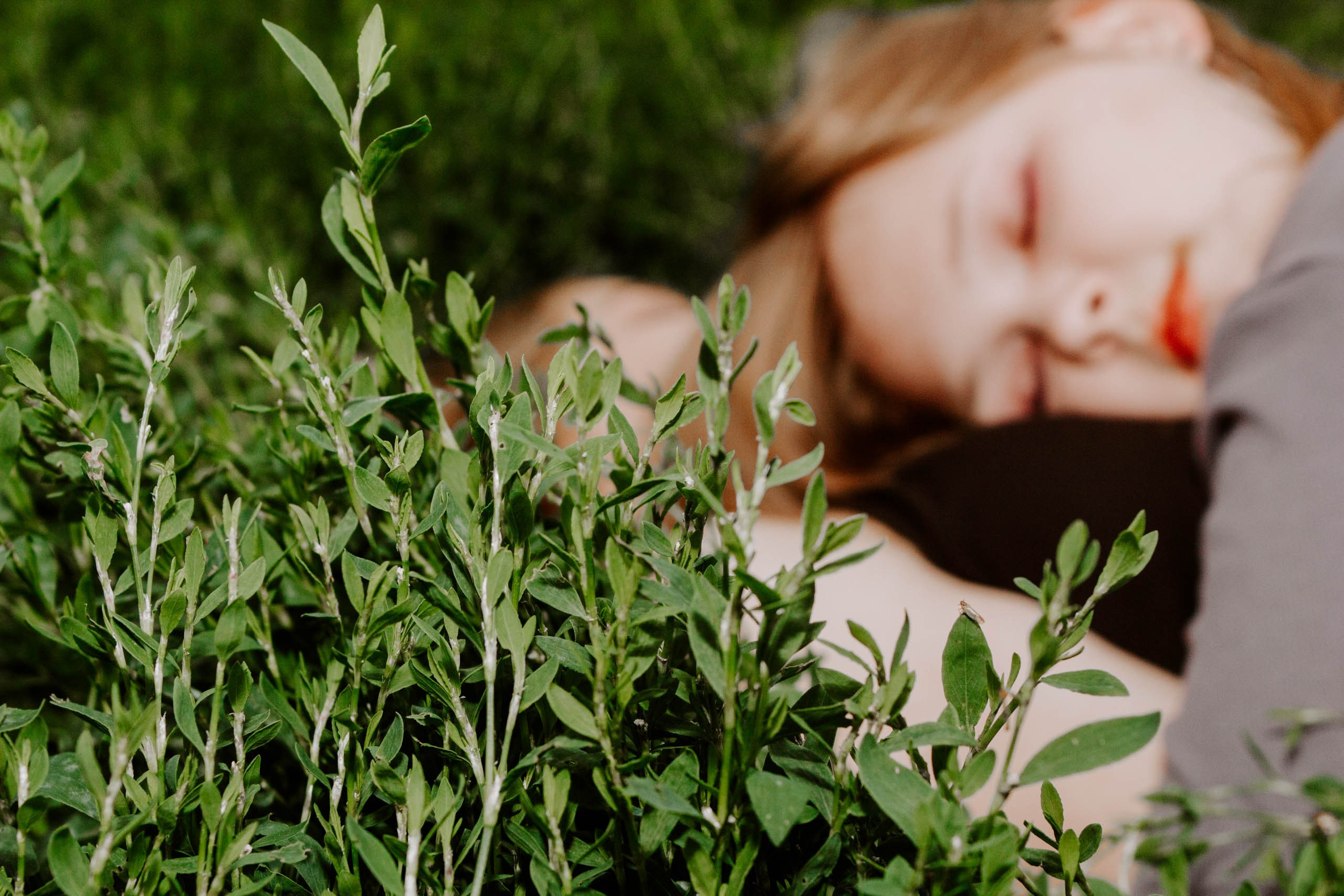 Ромашки веснушки мы лучшие подружки