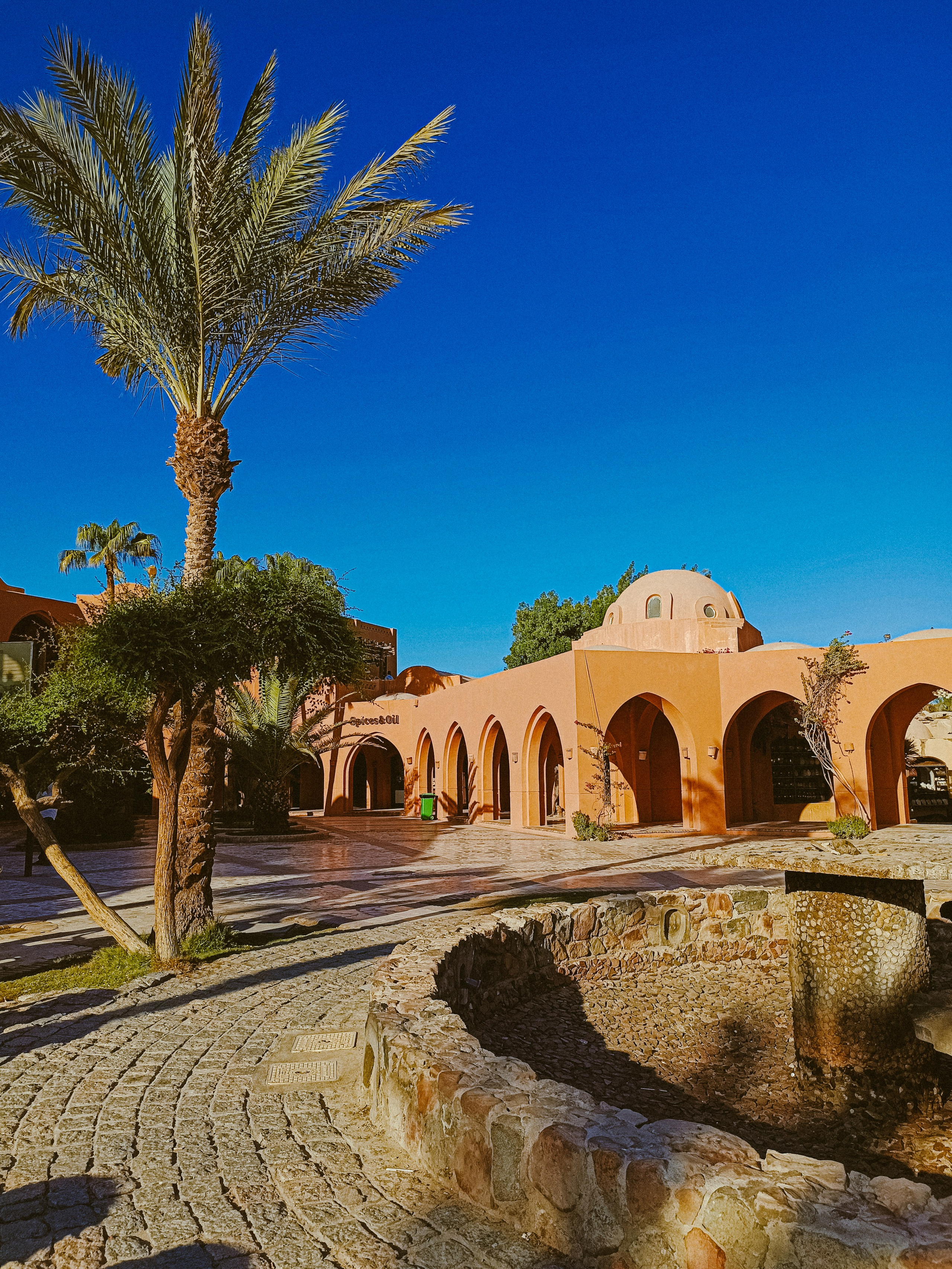 Мобильная. Jorgis — фотограф в Хургаде / обучение фотографии